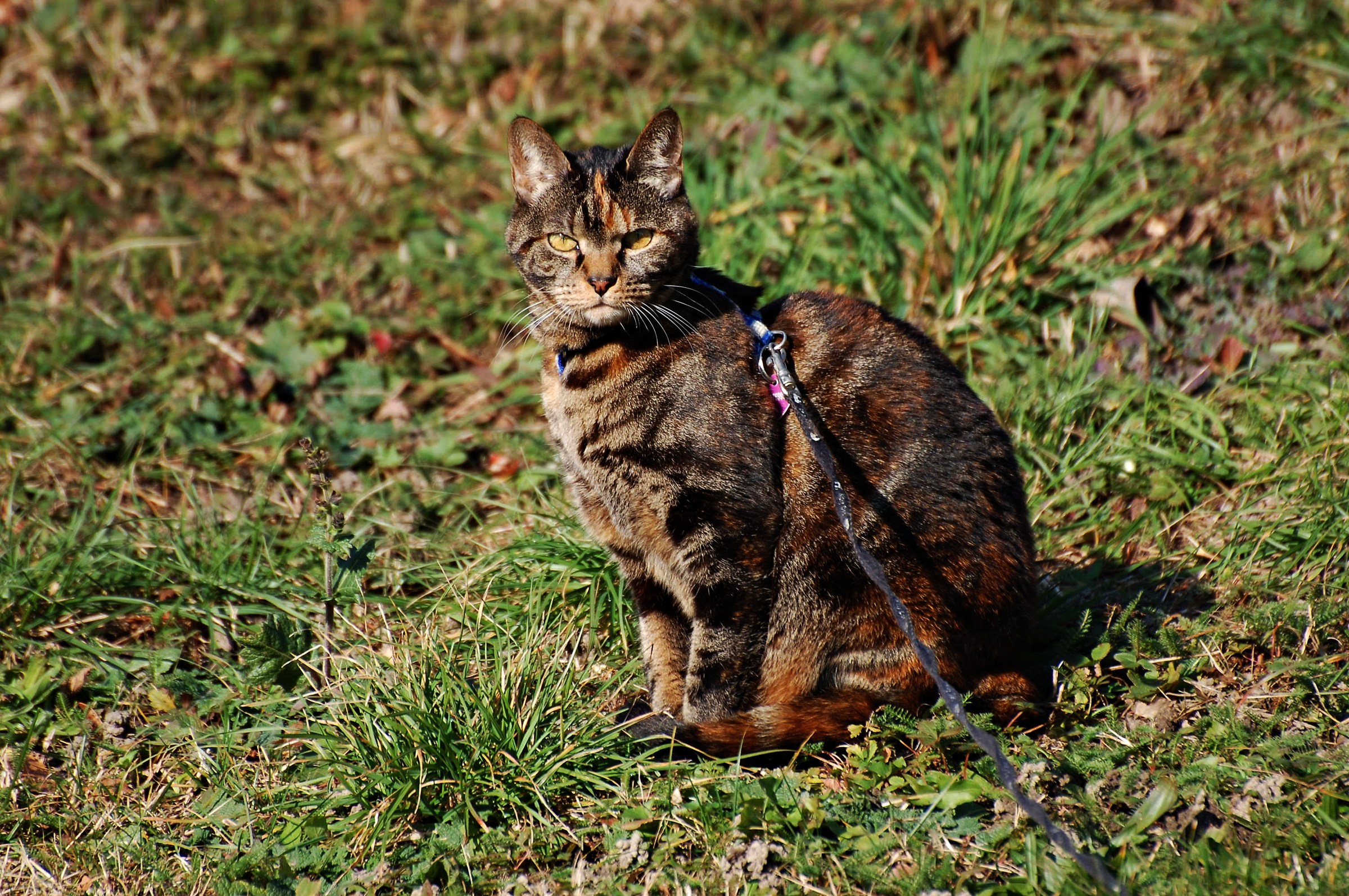 Everything under control