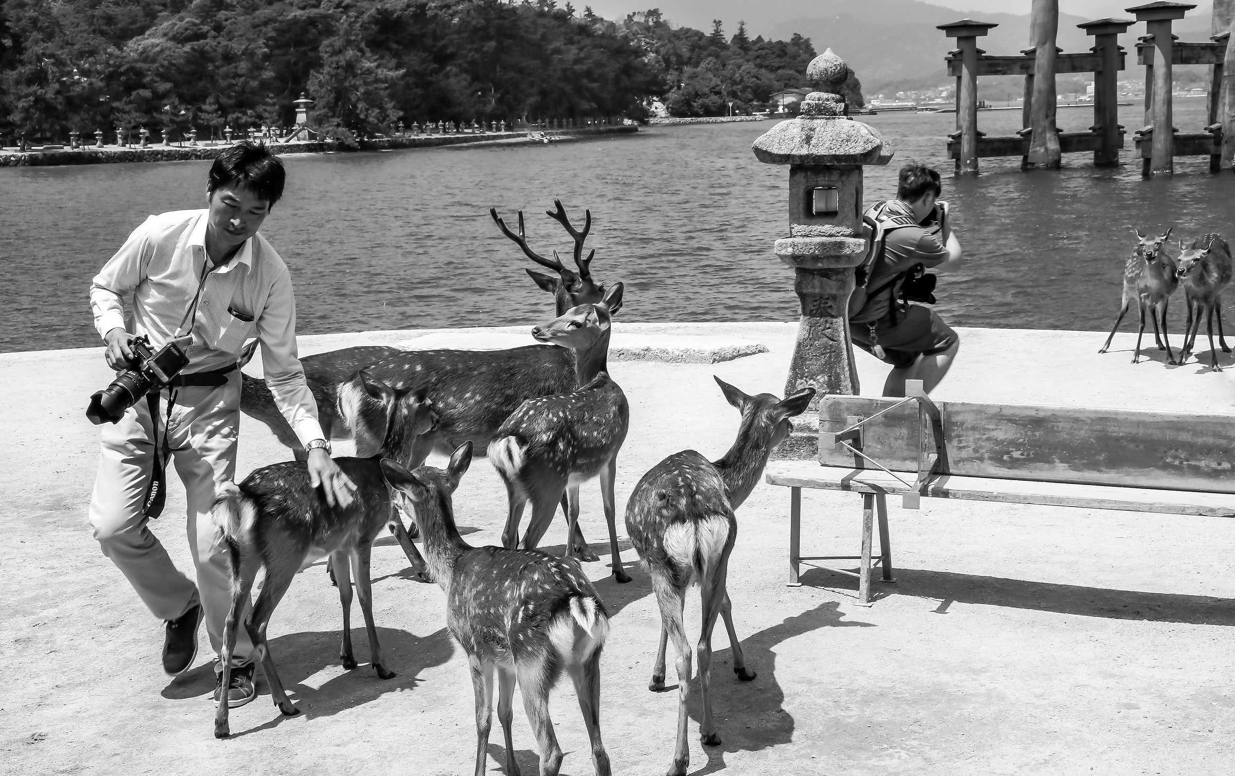 In fila per una foto