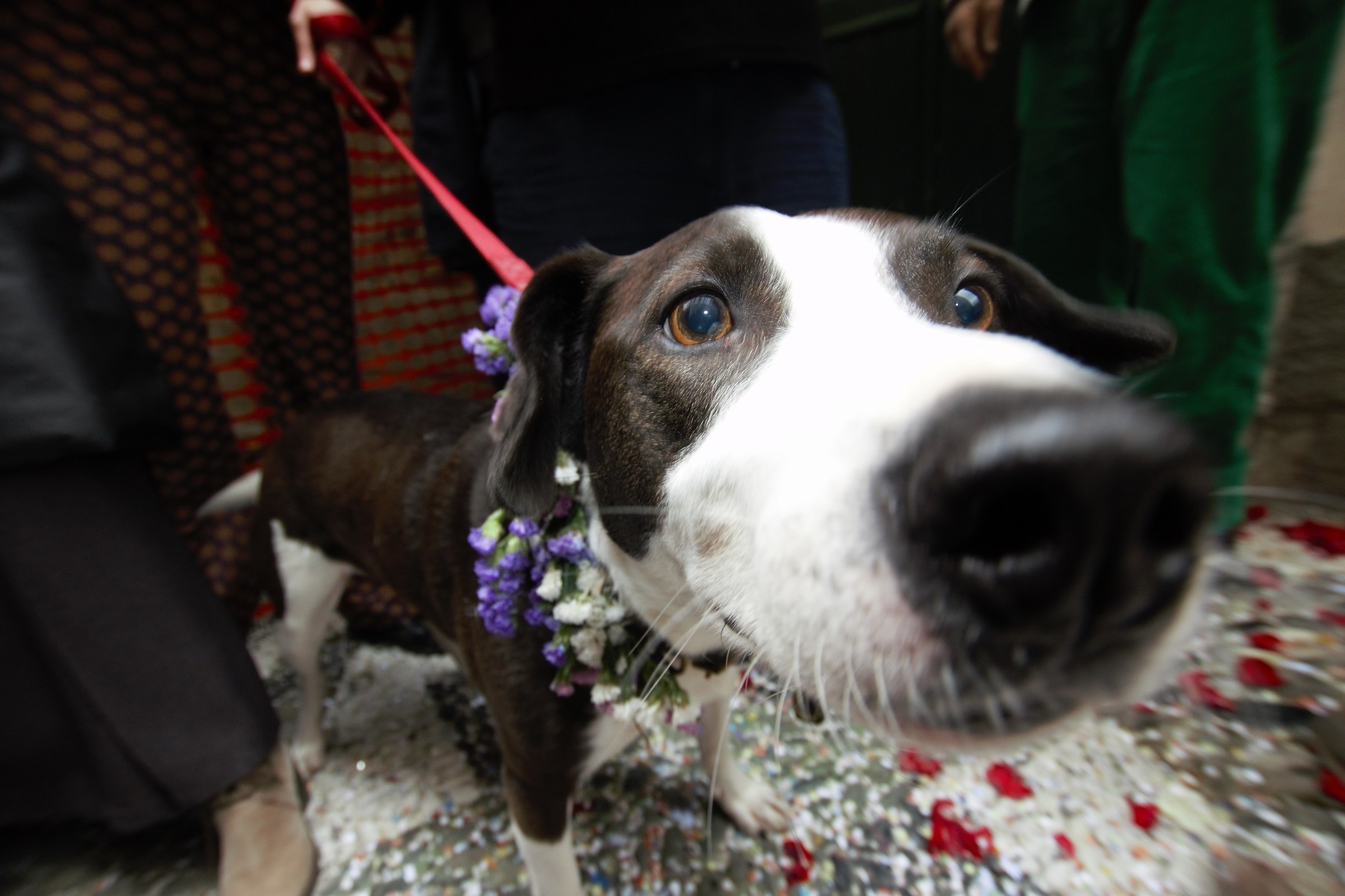 at my master's wedding