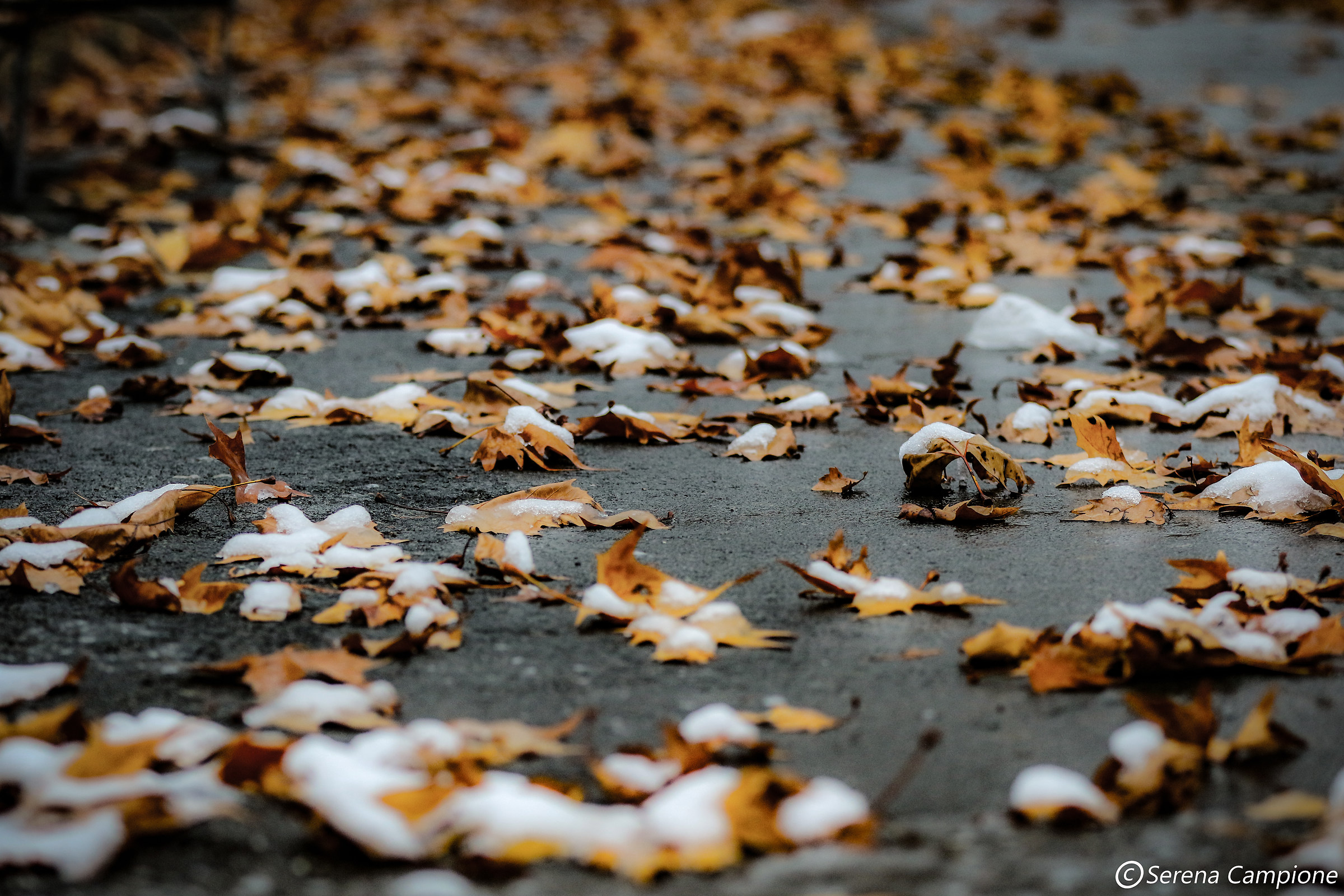 tra autunno e inverno