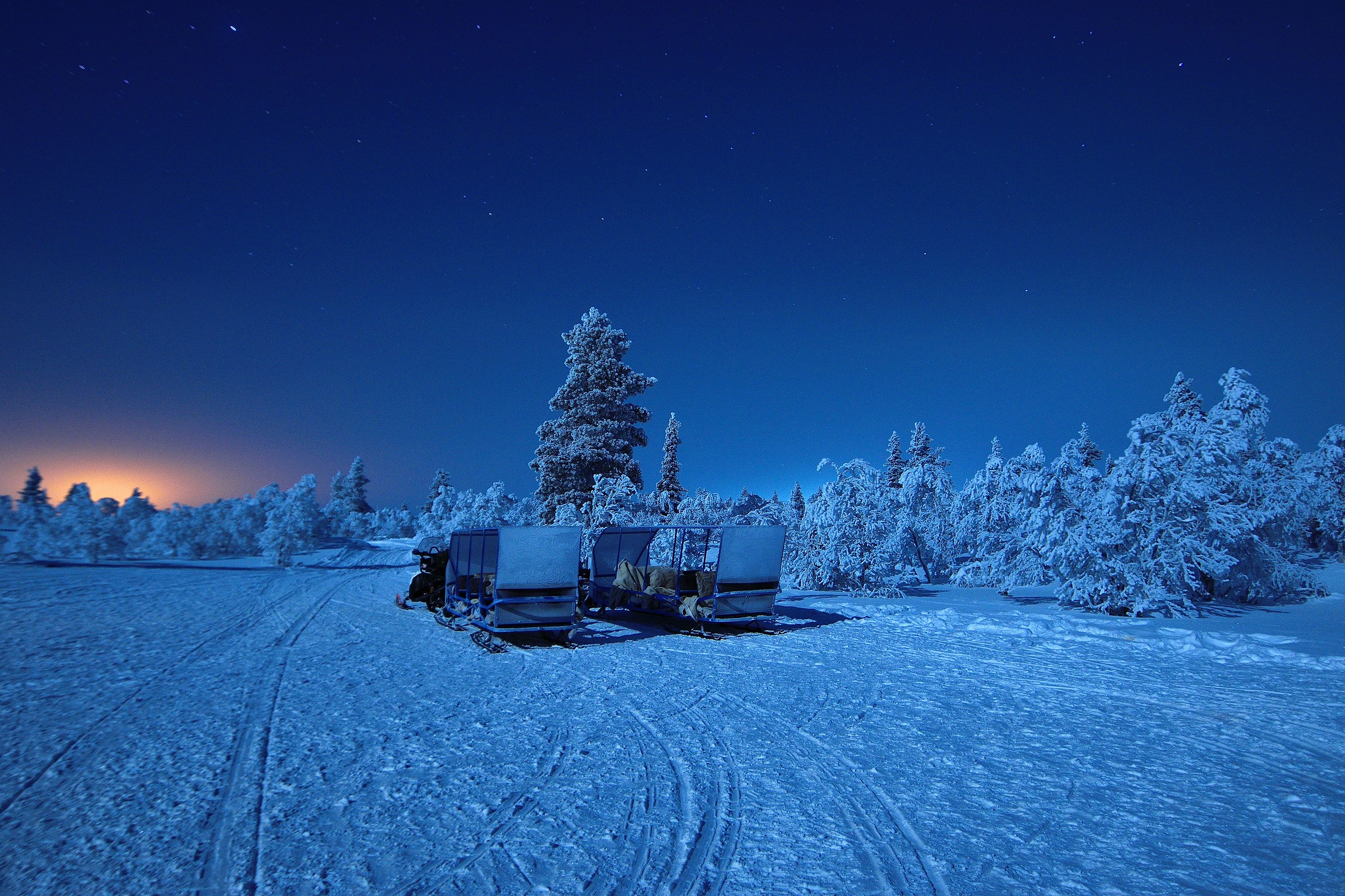 safari chasing the Northern Lights