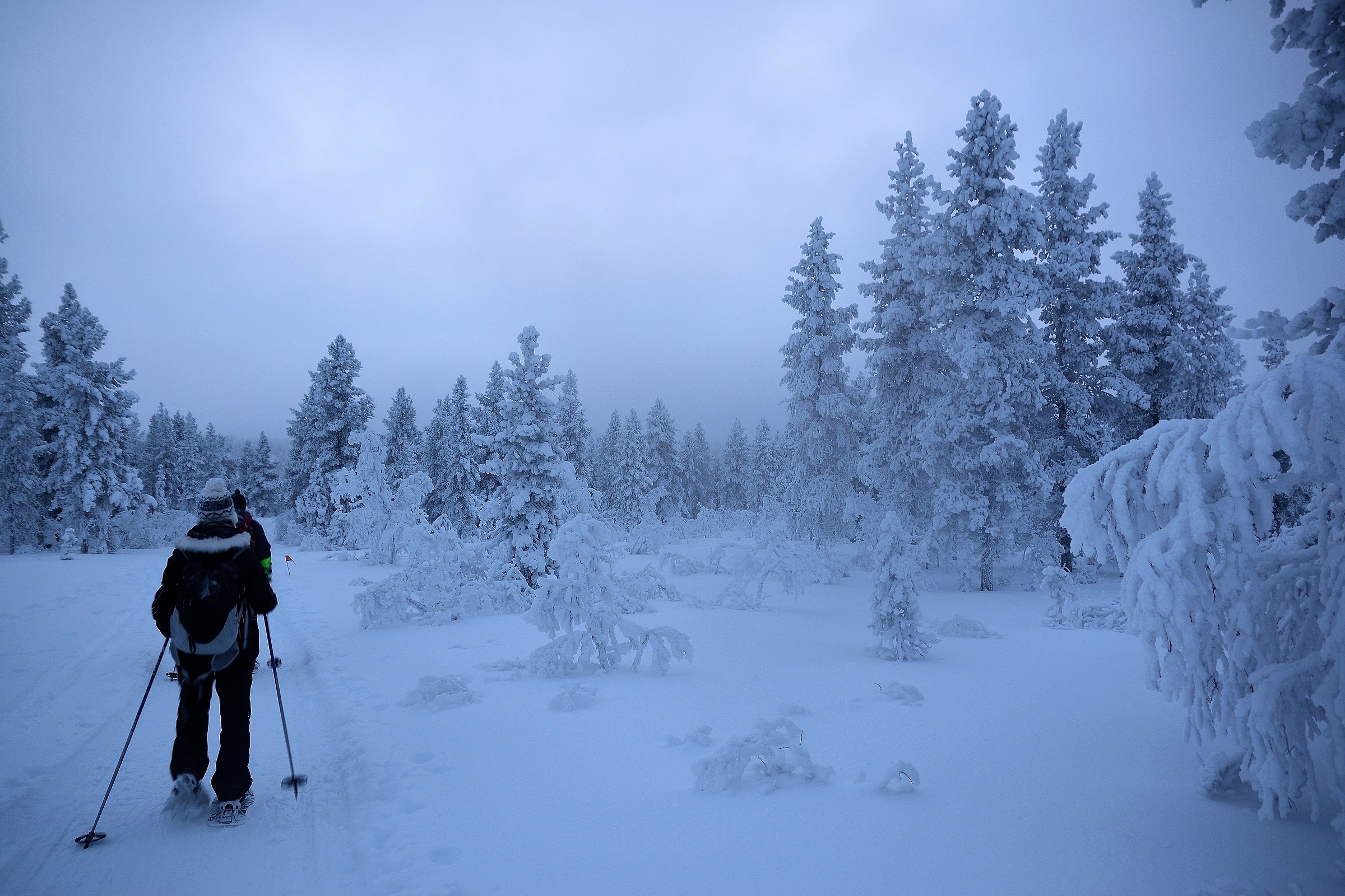 morning snowshoe hike