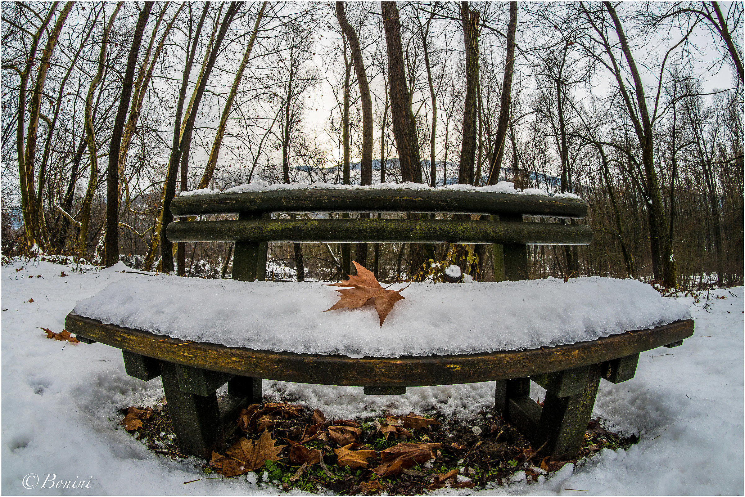 Loneliness of the first of the year