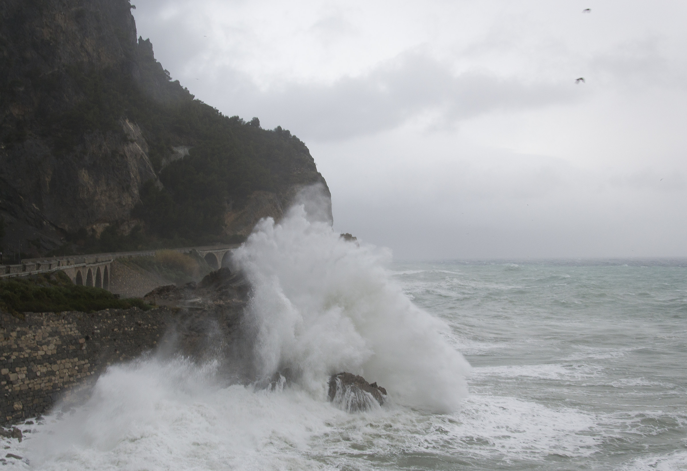 Ligurian sea riot 11-12-2017