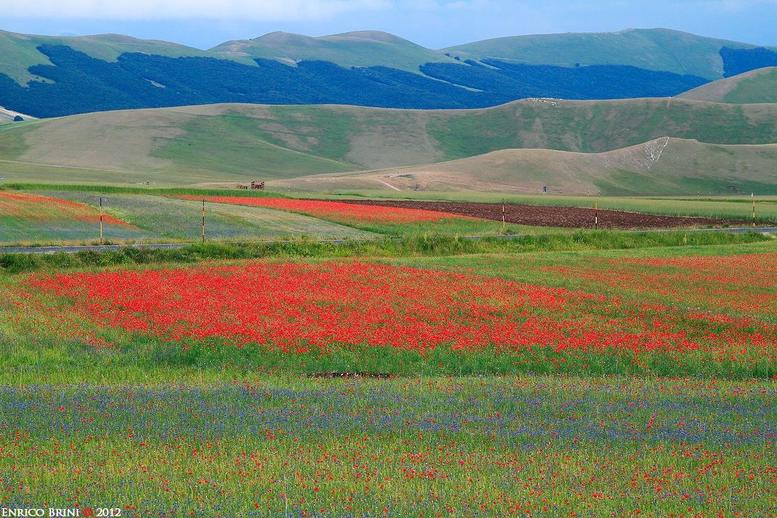 Castelluccio di Norcia