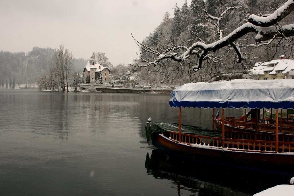 Bled