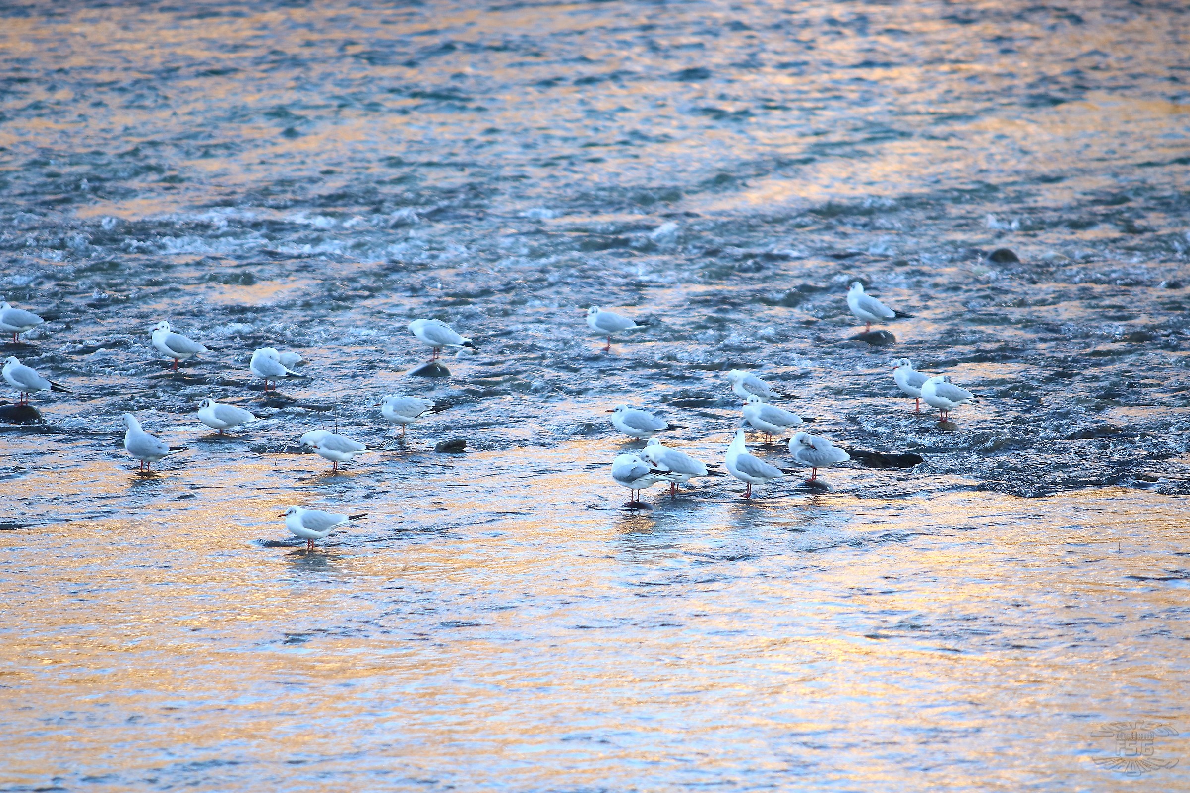 Waiting for the snack