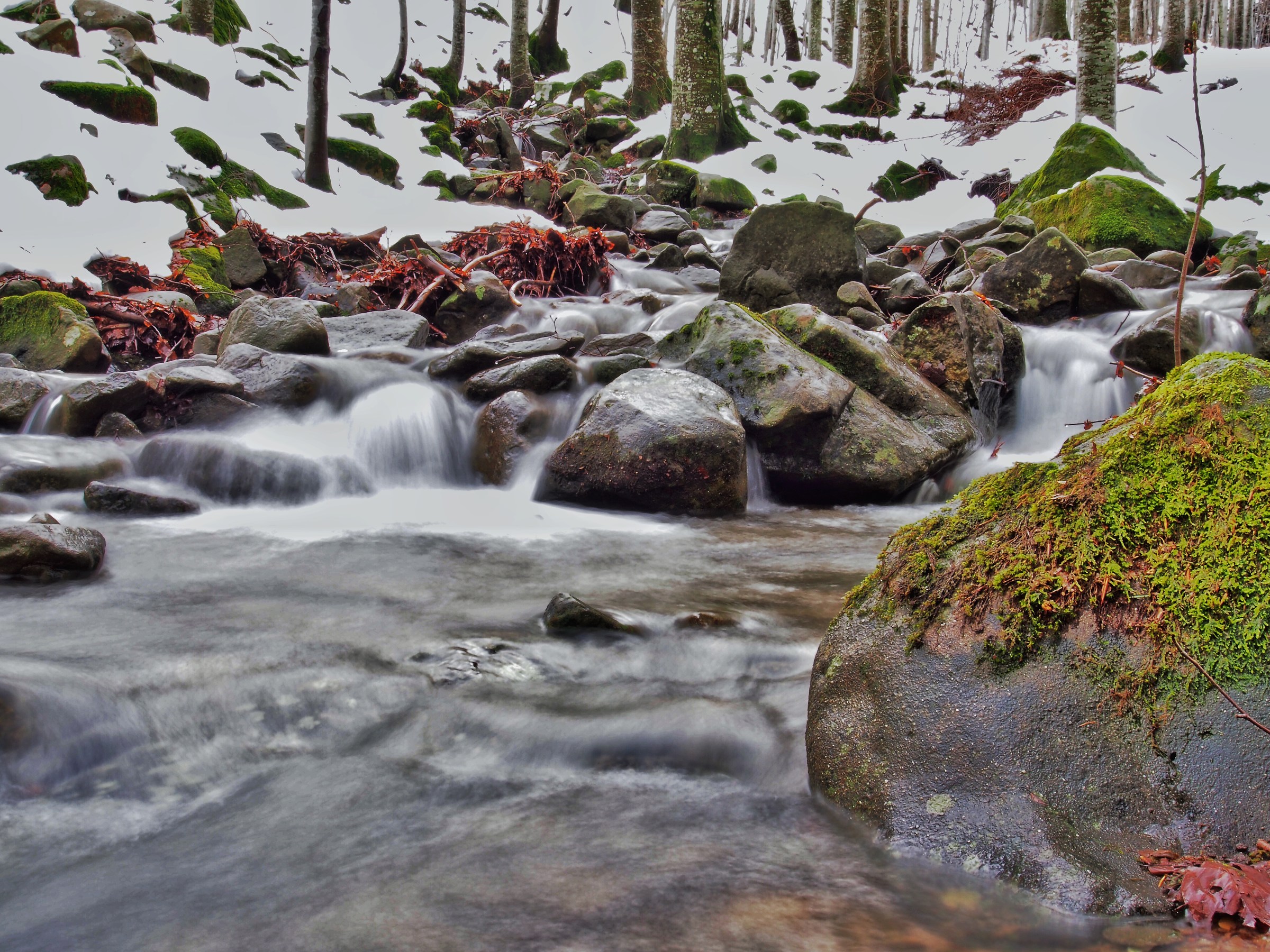 Ruscello innevato