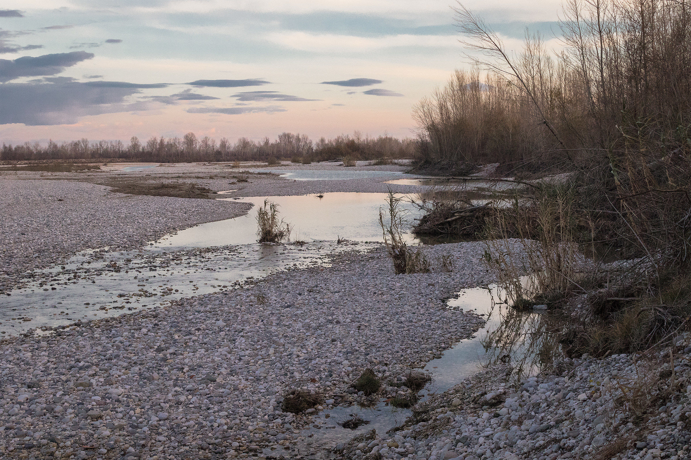 Tagliamento