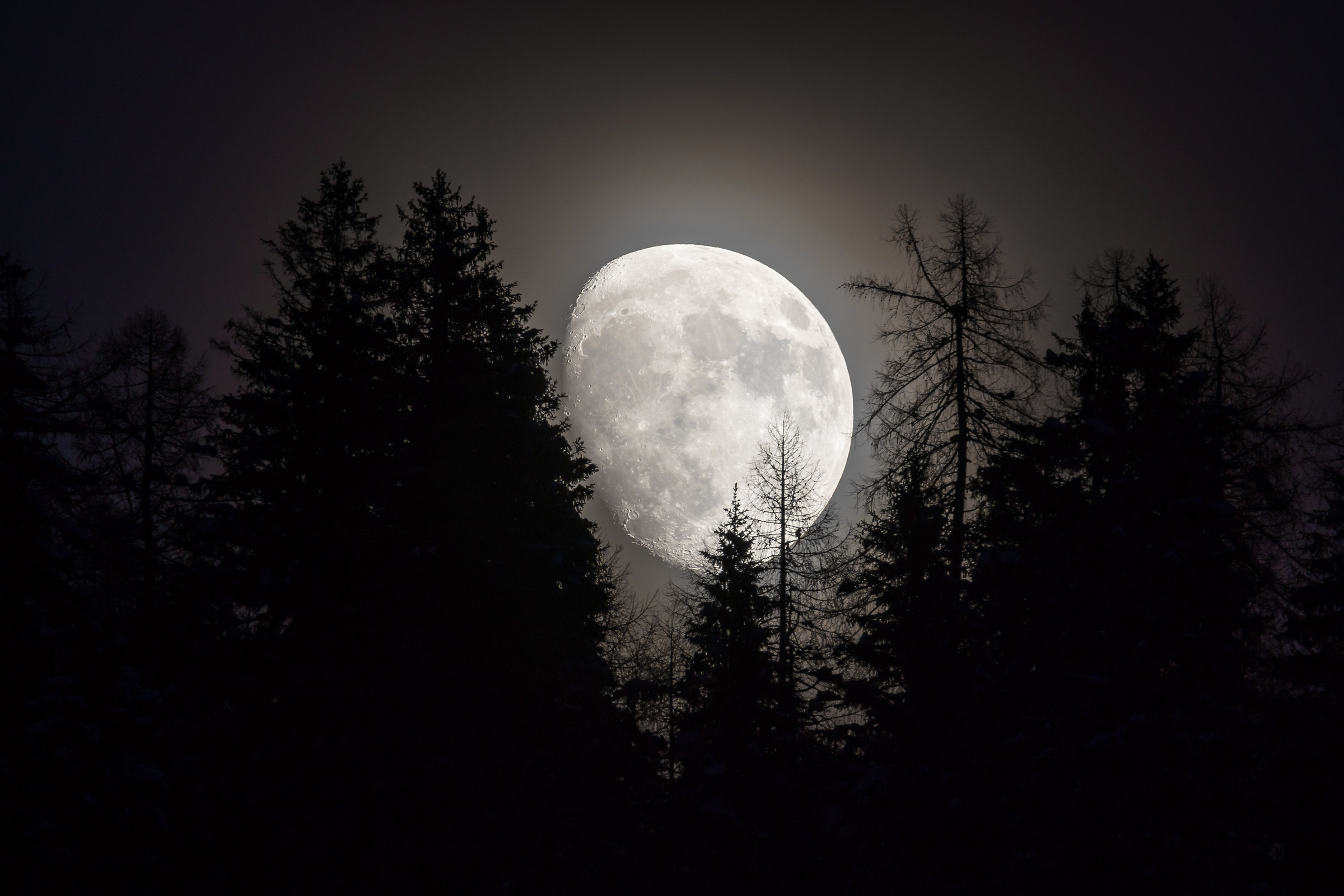 Spunta la Luna dal monte