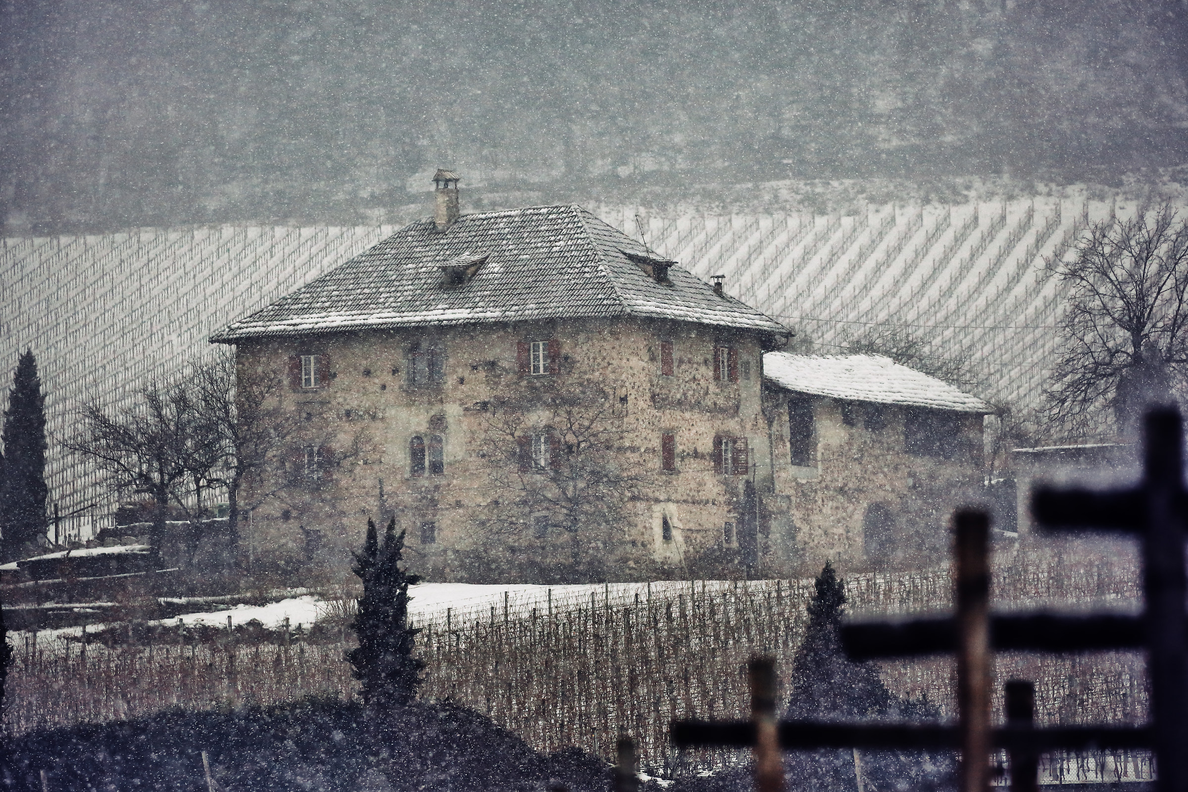 Che bello nevica !!!