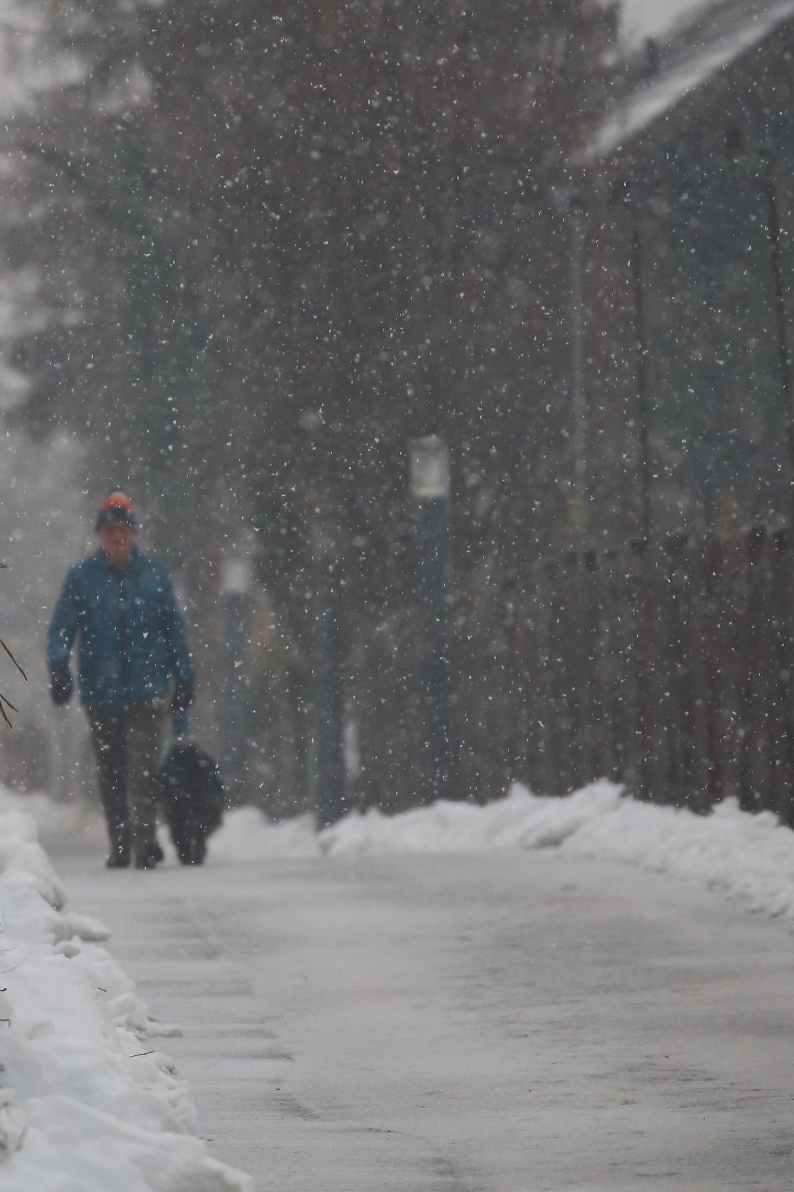 and it's still snowing !!!!