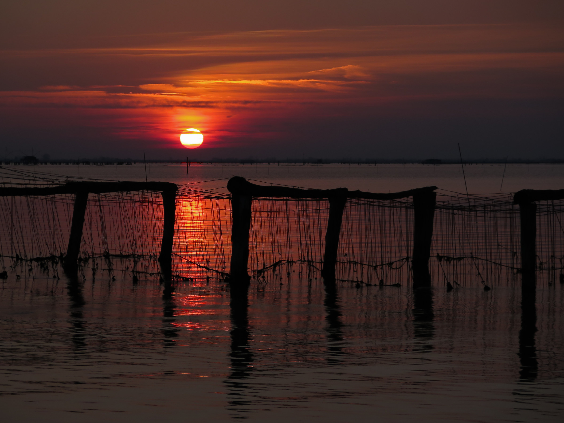 Chioggia lagoon