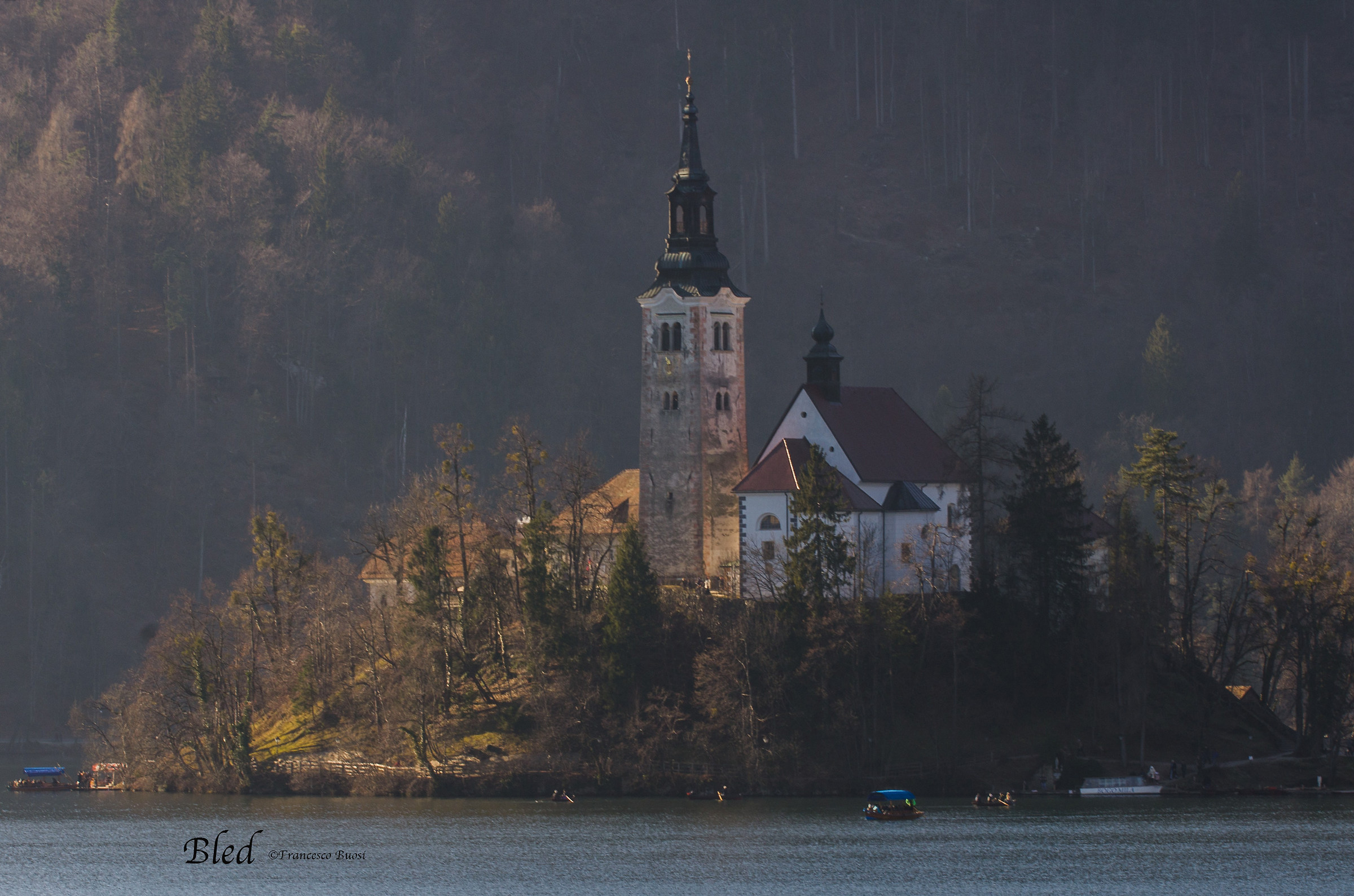 Bled last year