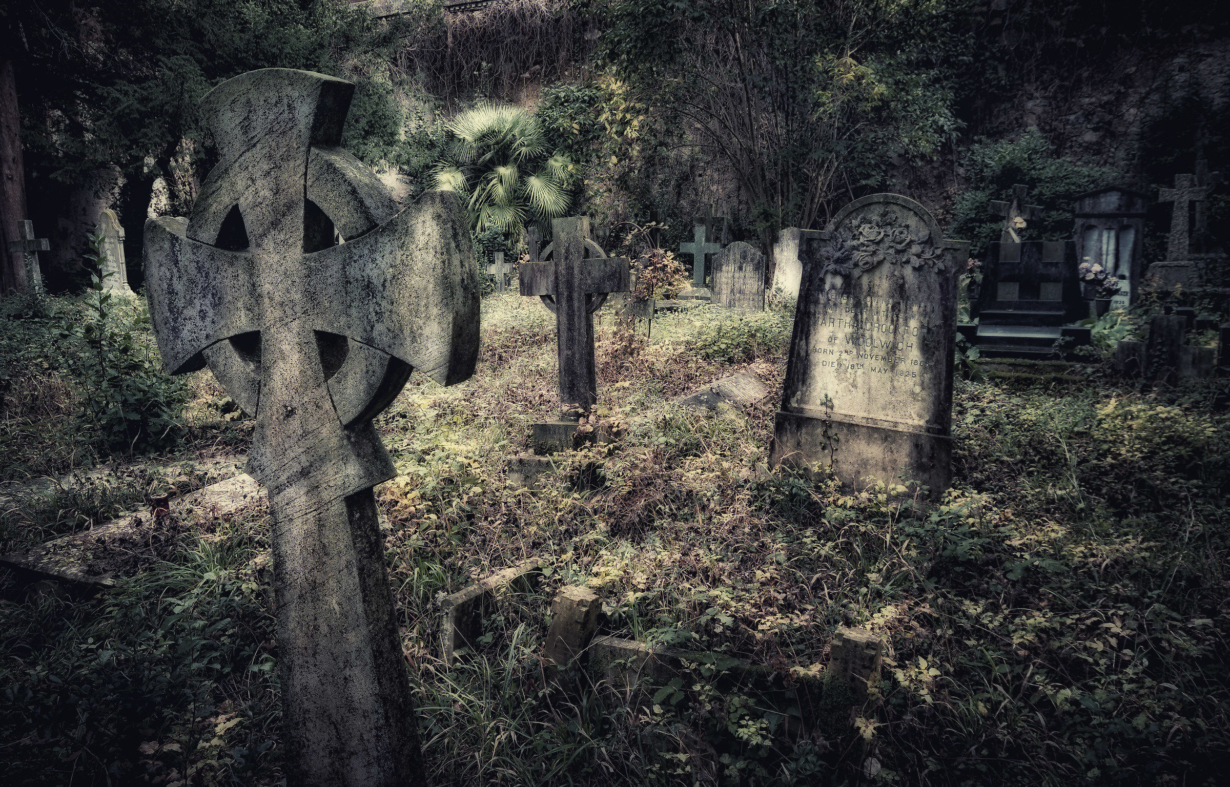 Abandoned graveyard....