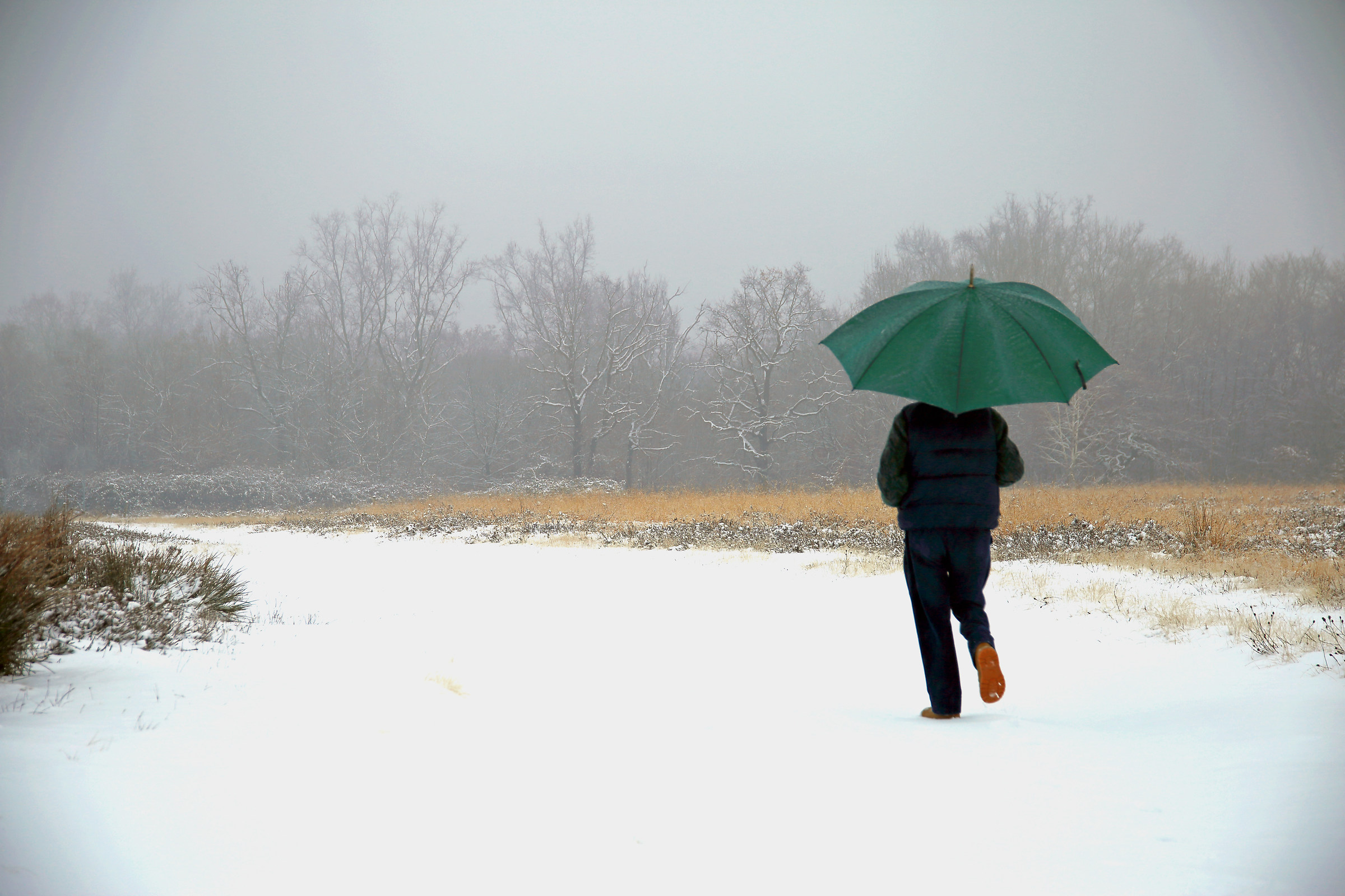Camminando nella neve