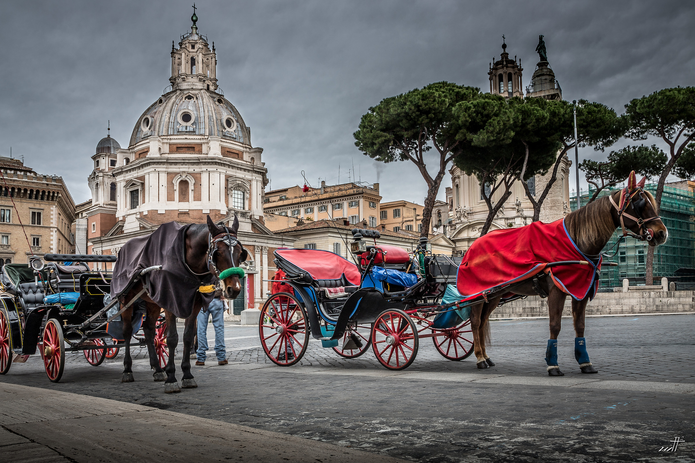 Horses in Rome