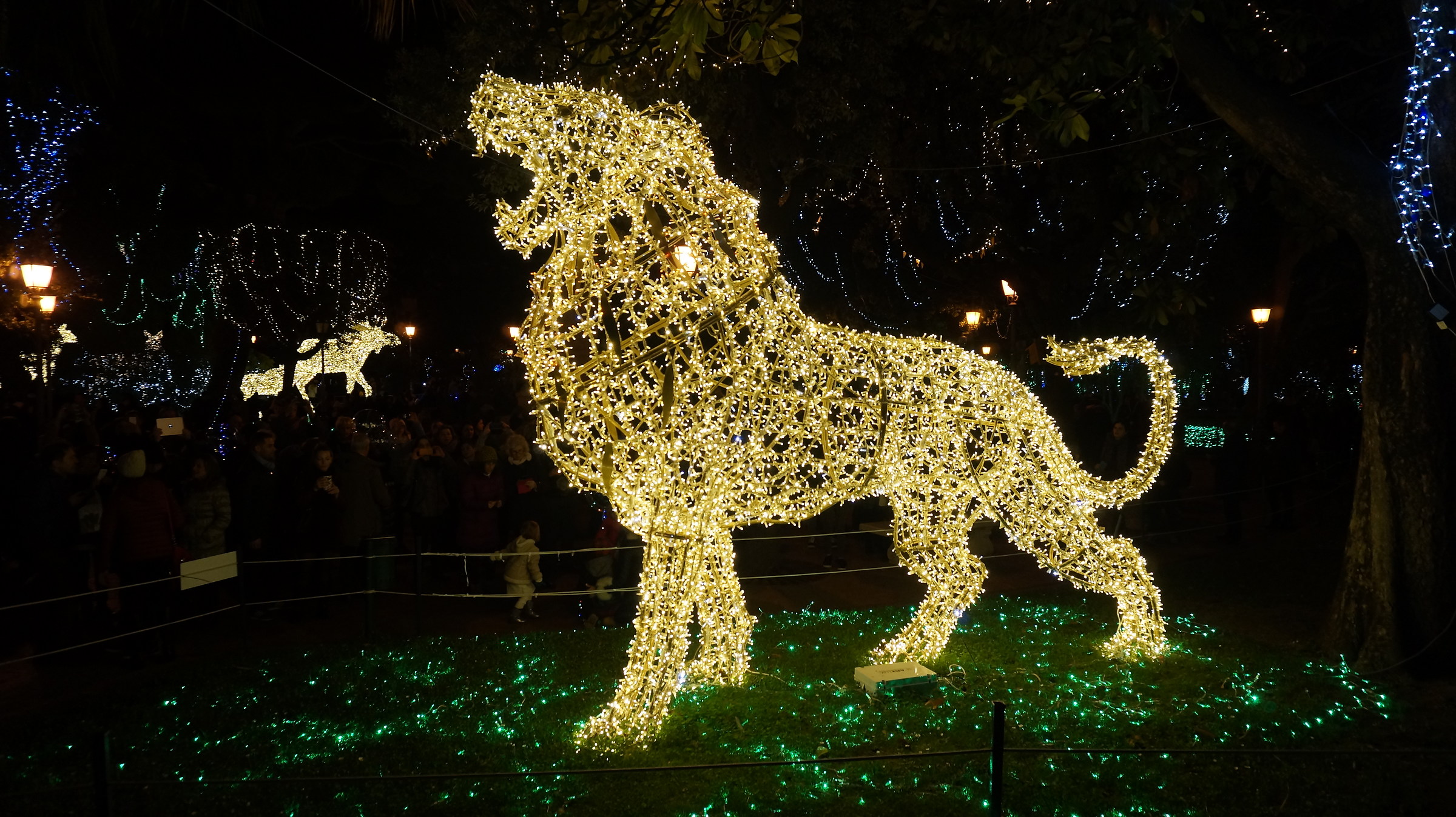 The Zoo that I would like