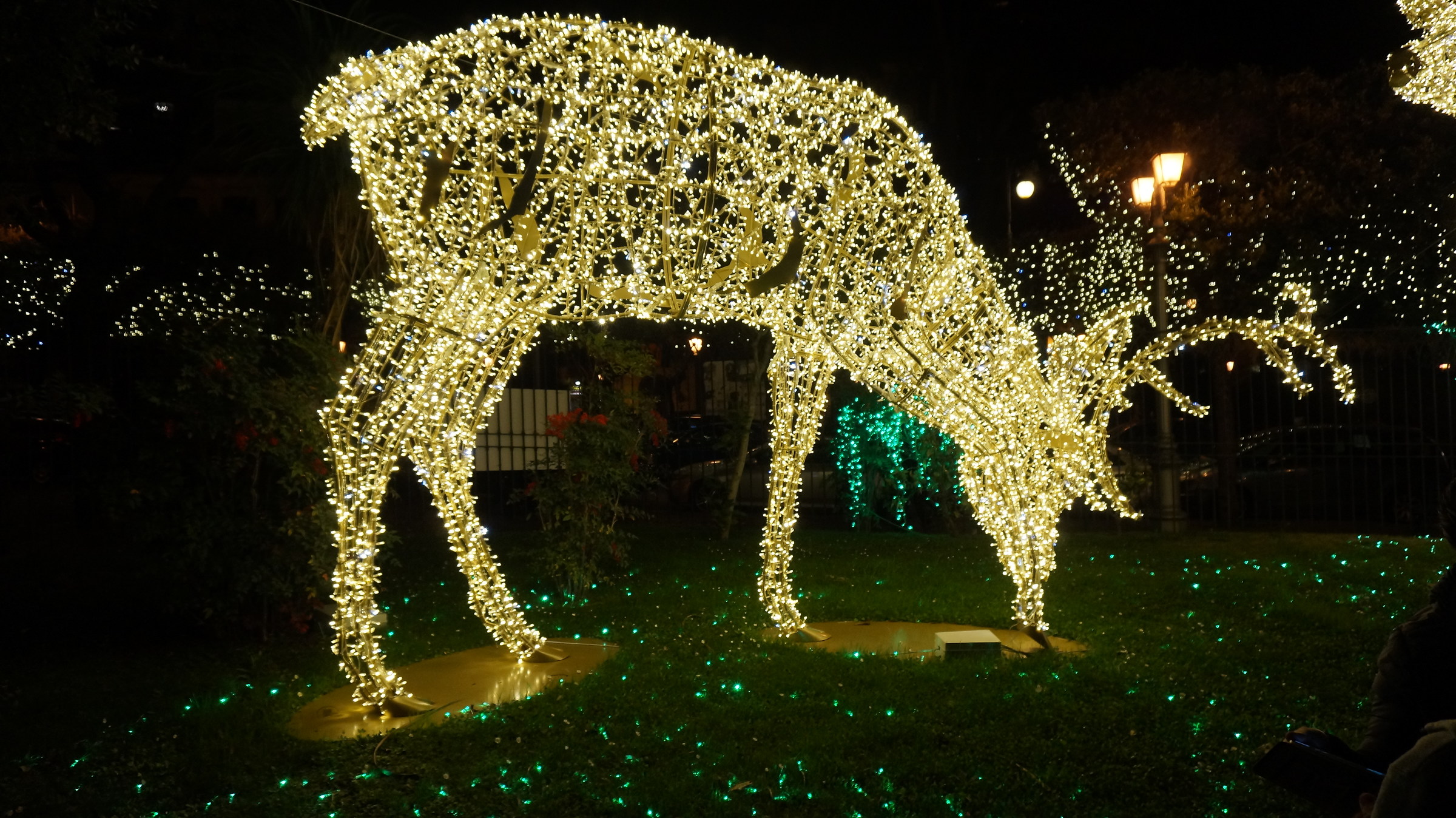 The Zoo that I would like