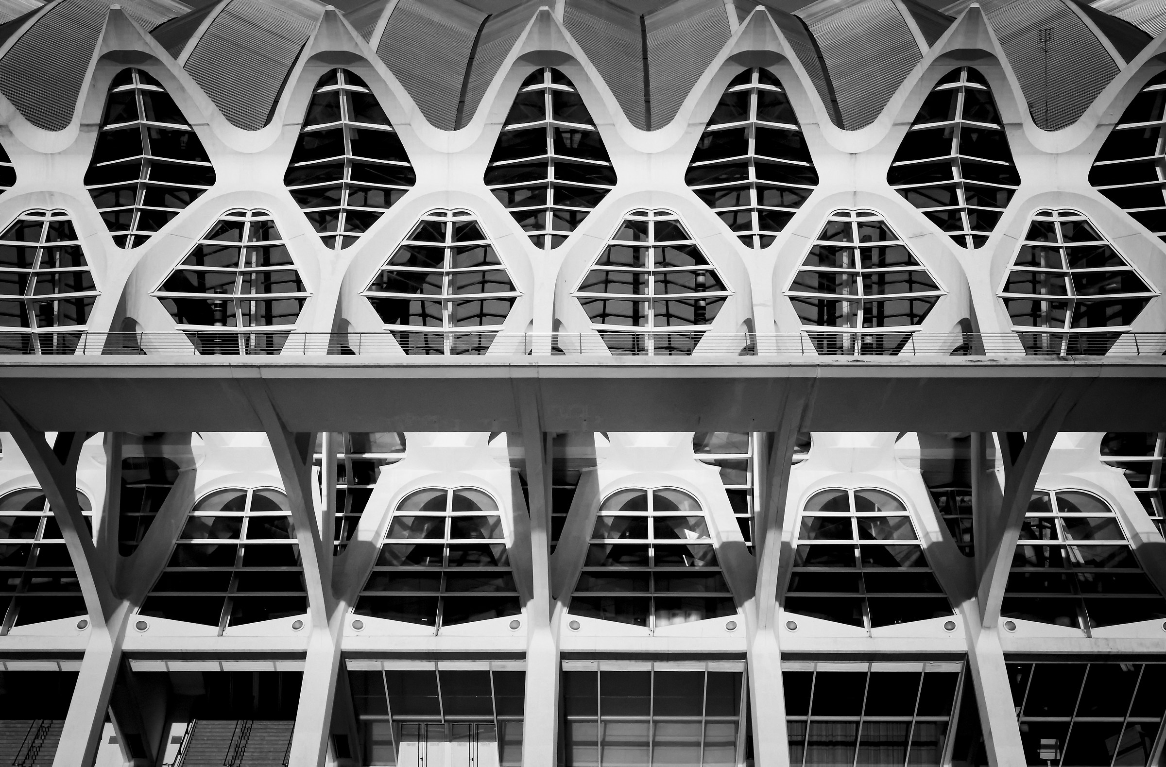 Oceonografico di Valencia