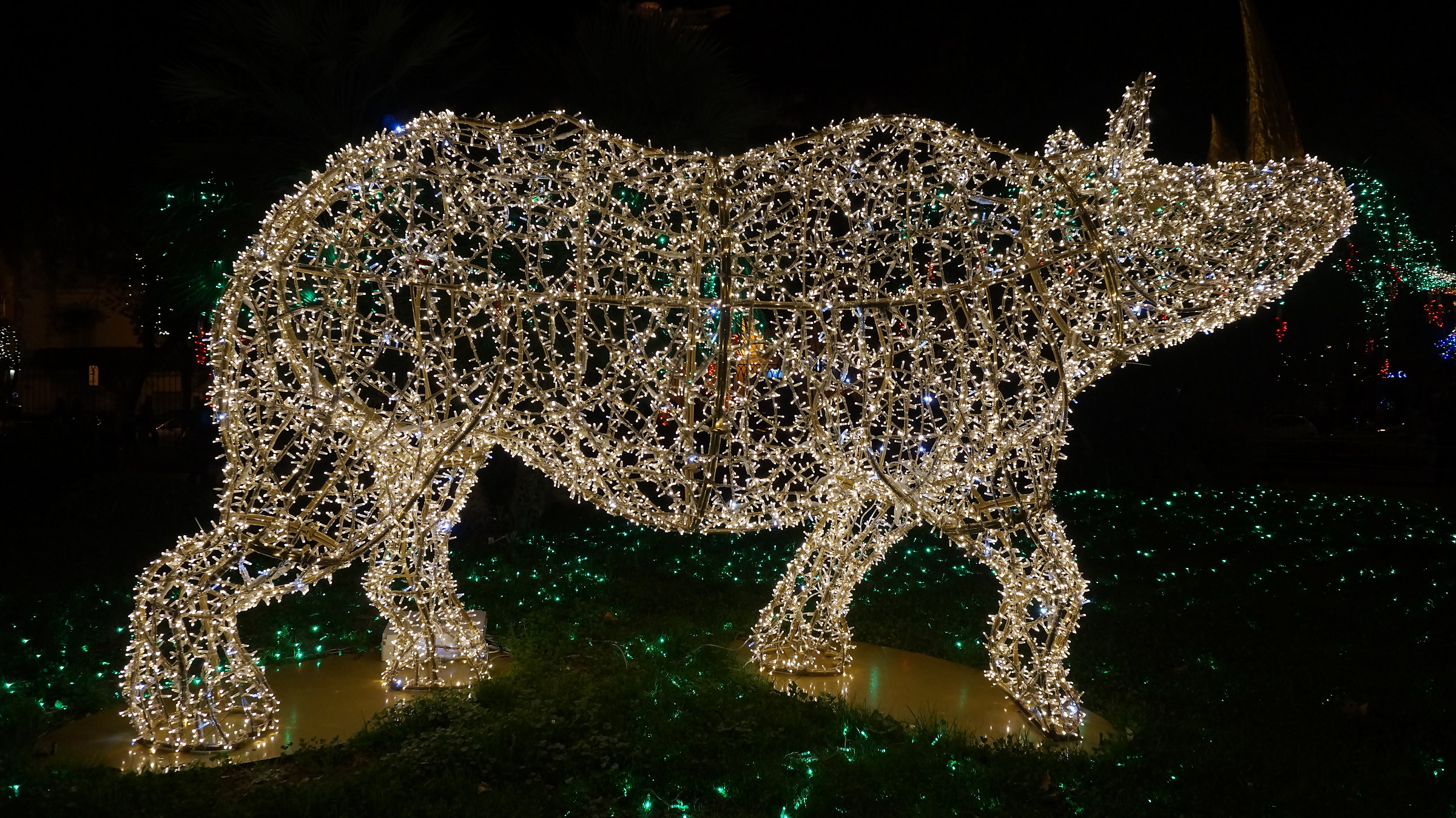 The Zoo that I would like