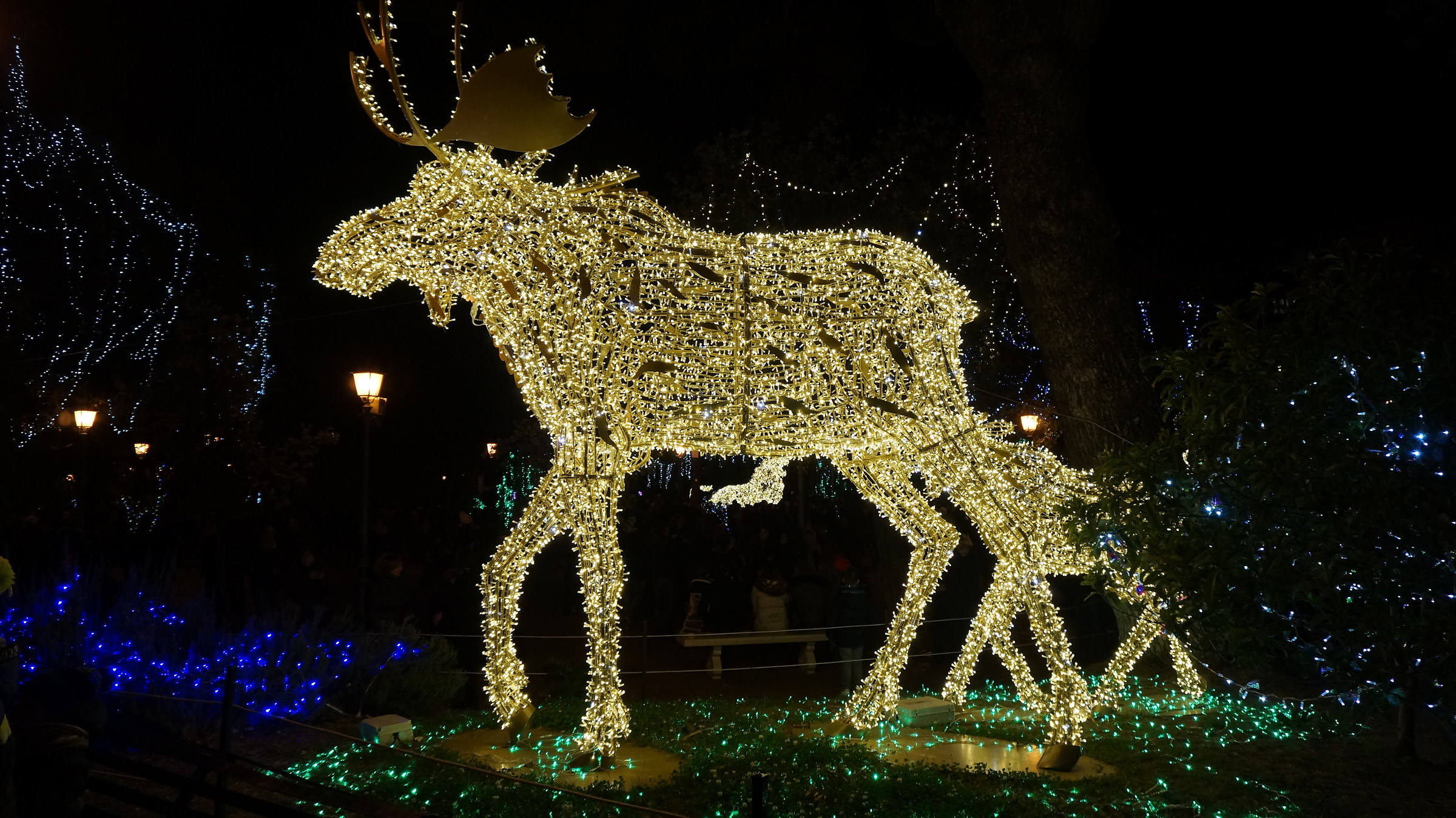 The Zoo that I would like