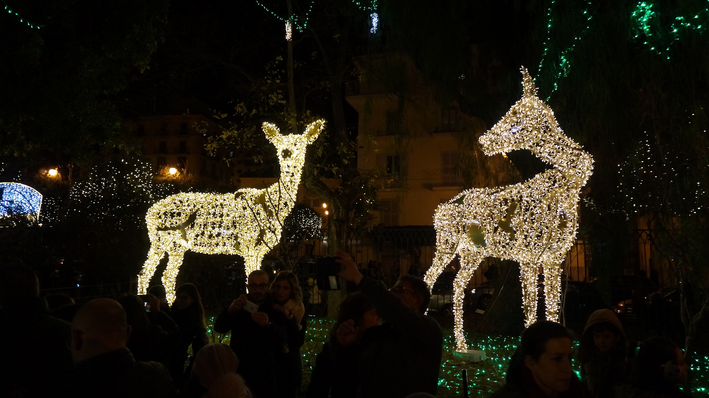 The Zoo that I would like