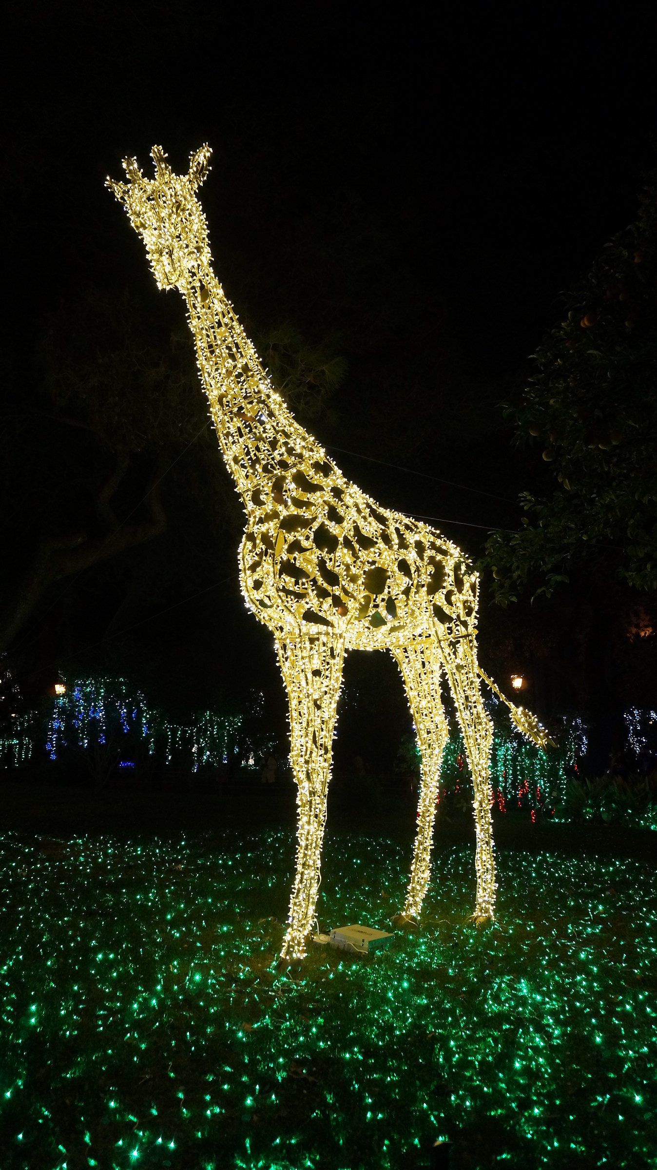 The Zoo that I would like