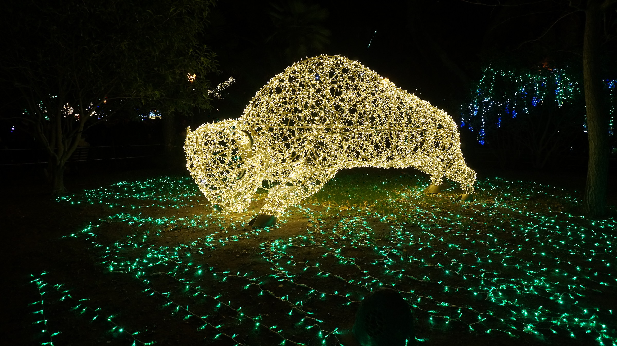 The Zoo that I would like