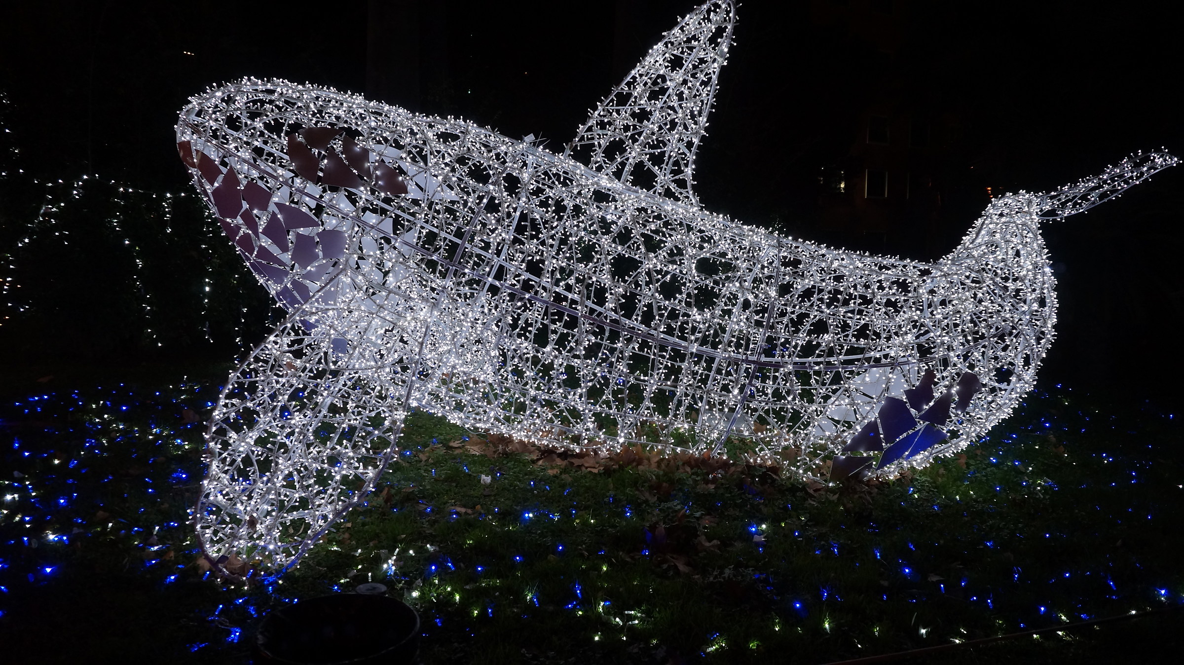 The Zoo that I would like