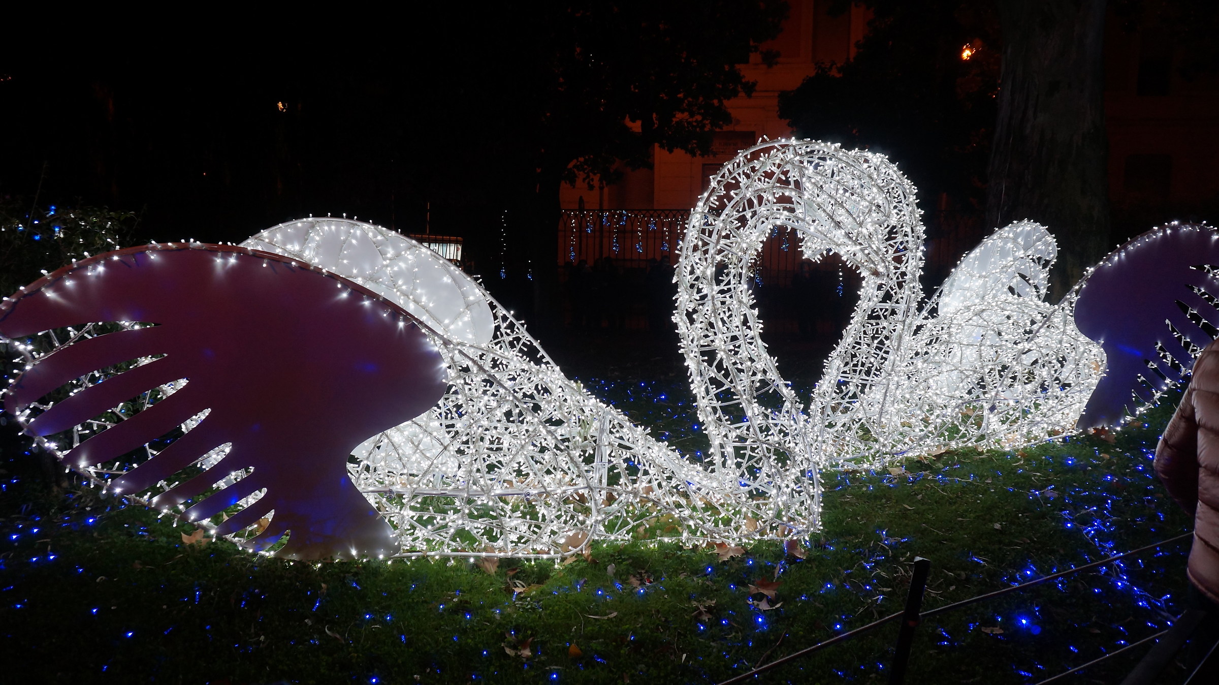 The Zoo that I would like