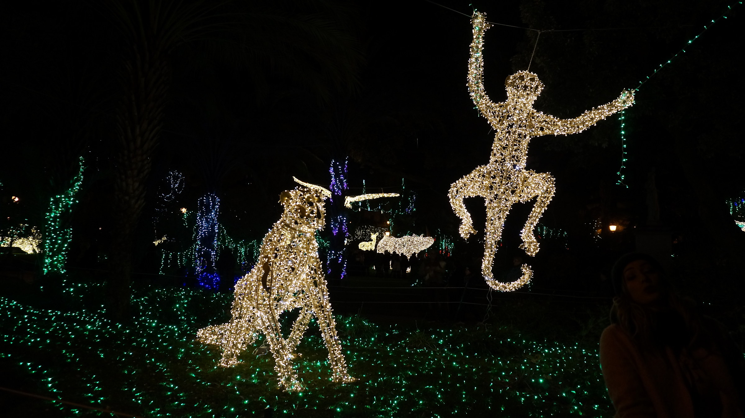 The Zoo that I would like