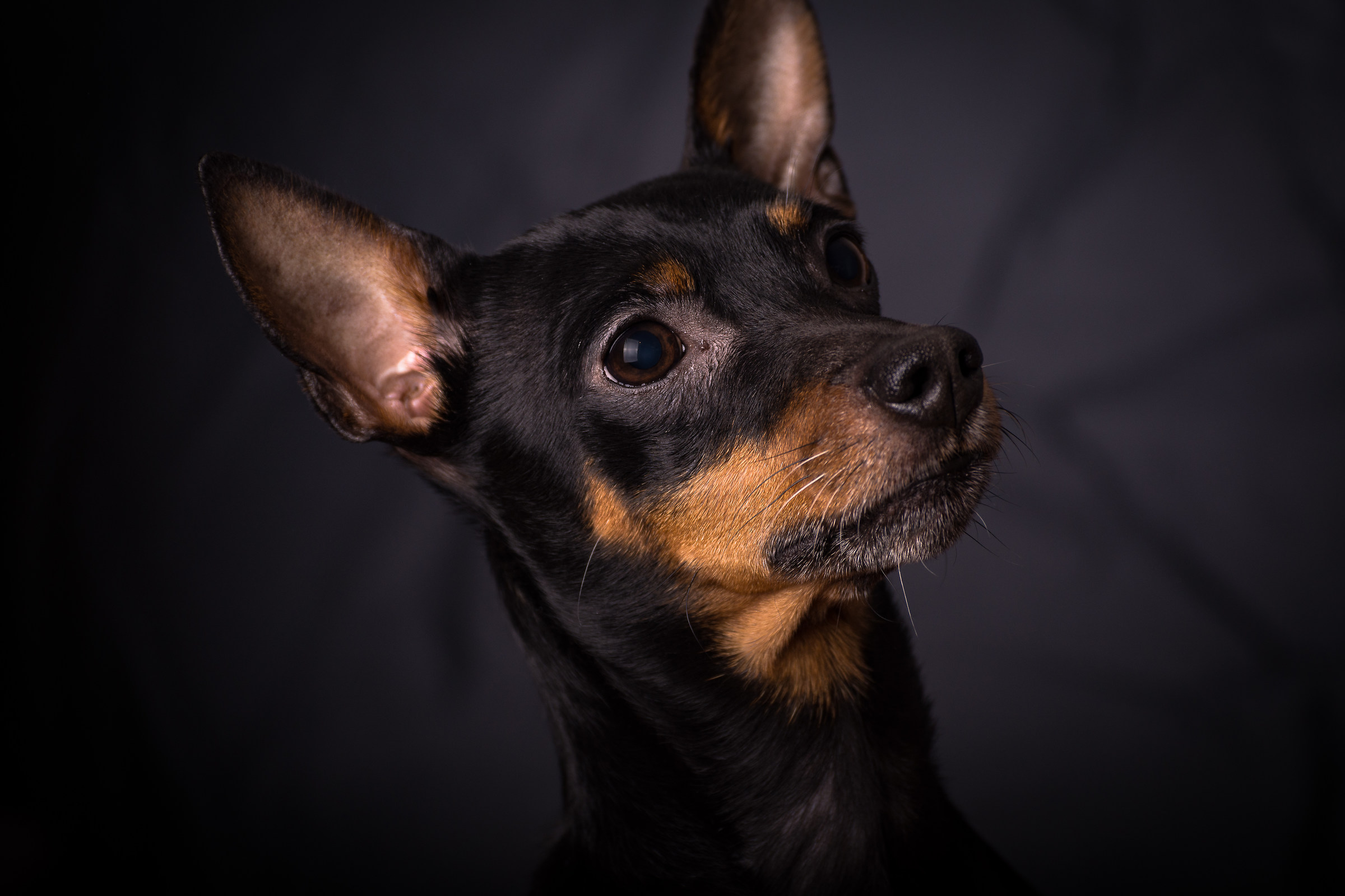 il mio più grande amore