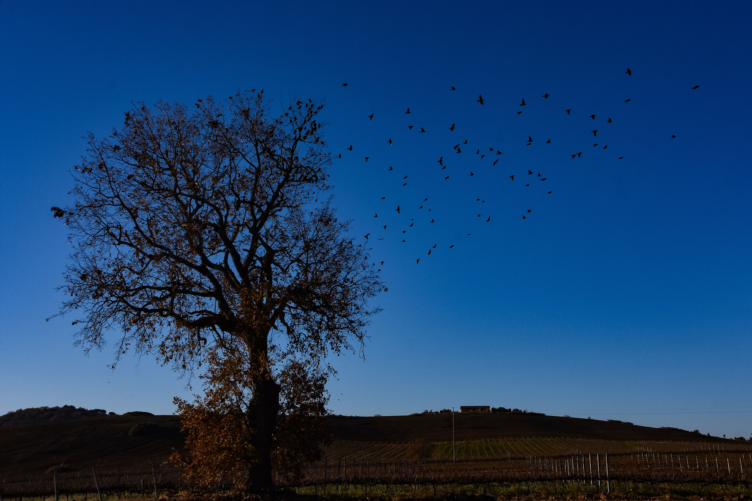 Sometimes winter ...