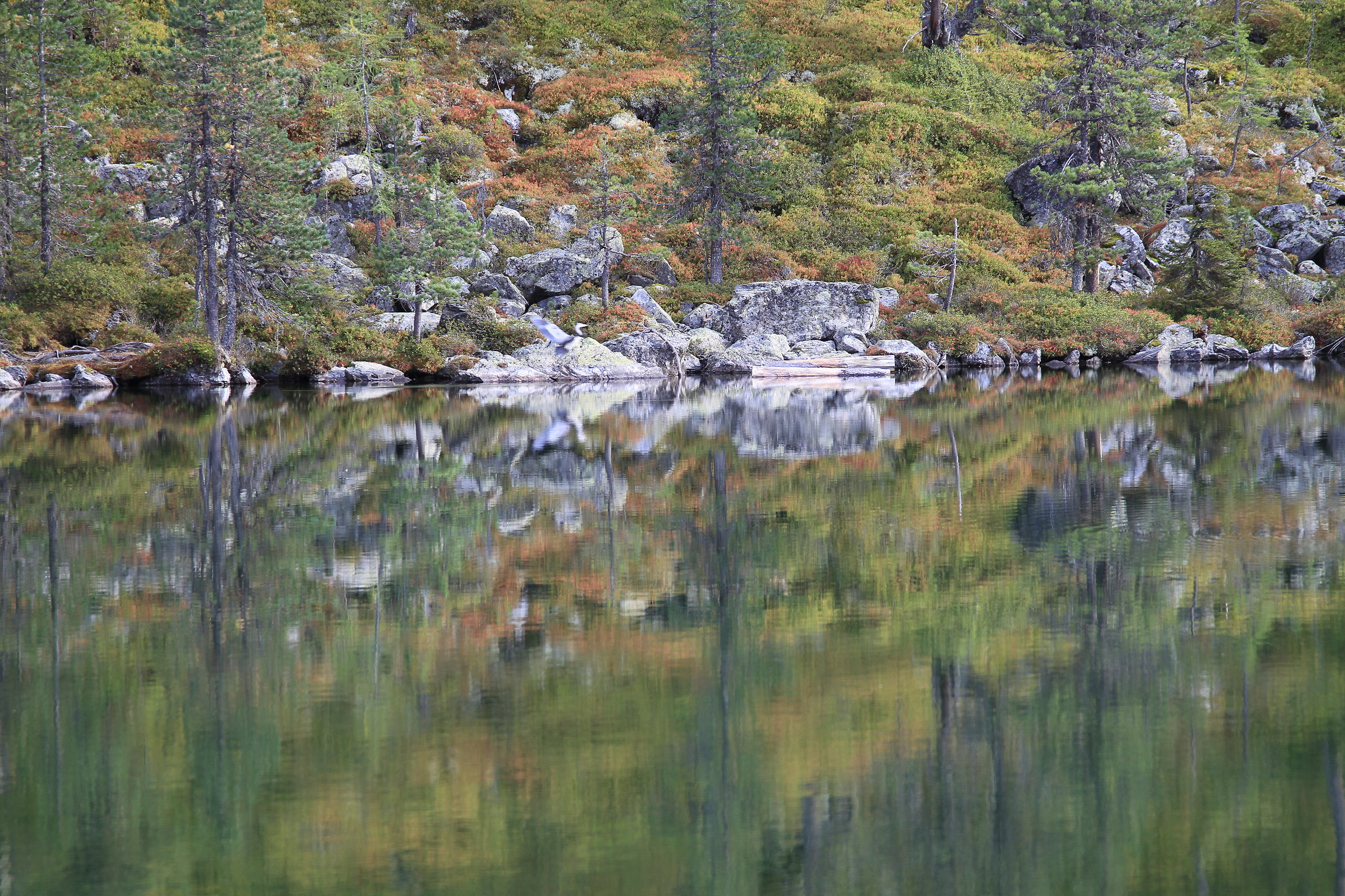 Wengsee - Valle Aurina - Alto Adige