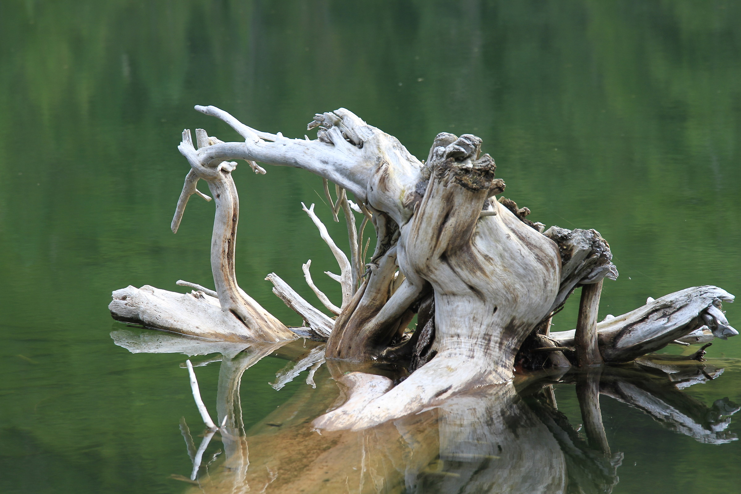 Wengsee - Valle Aurina - Alto Adige