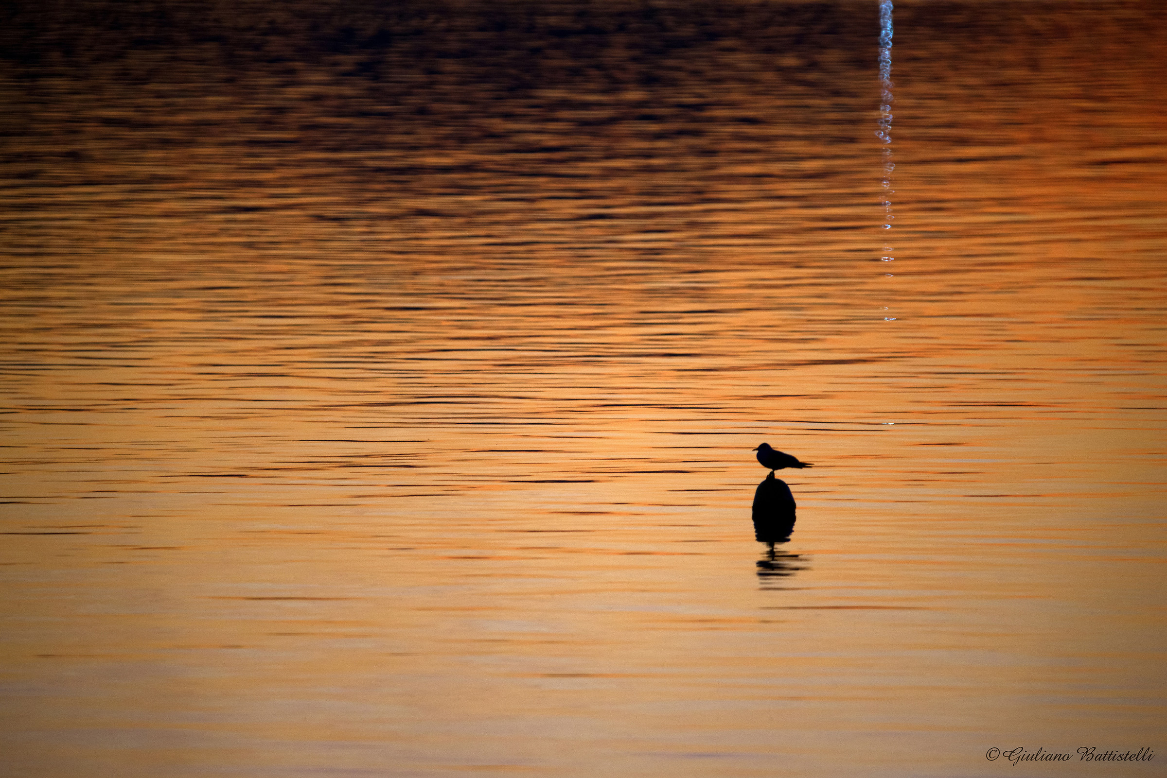 We rest sometimes ...