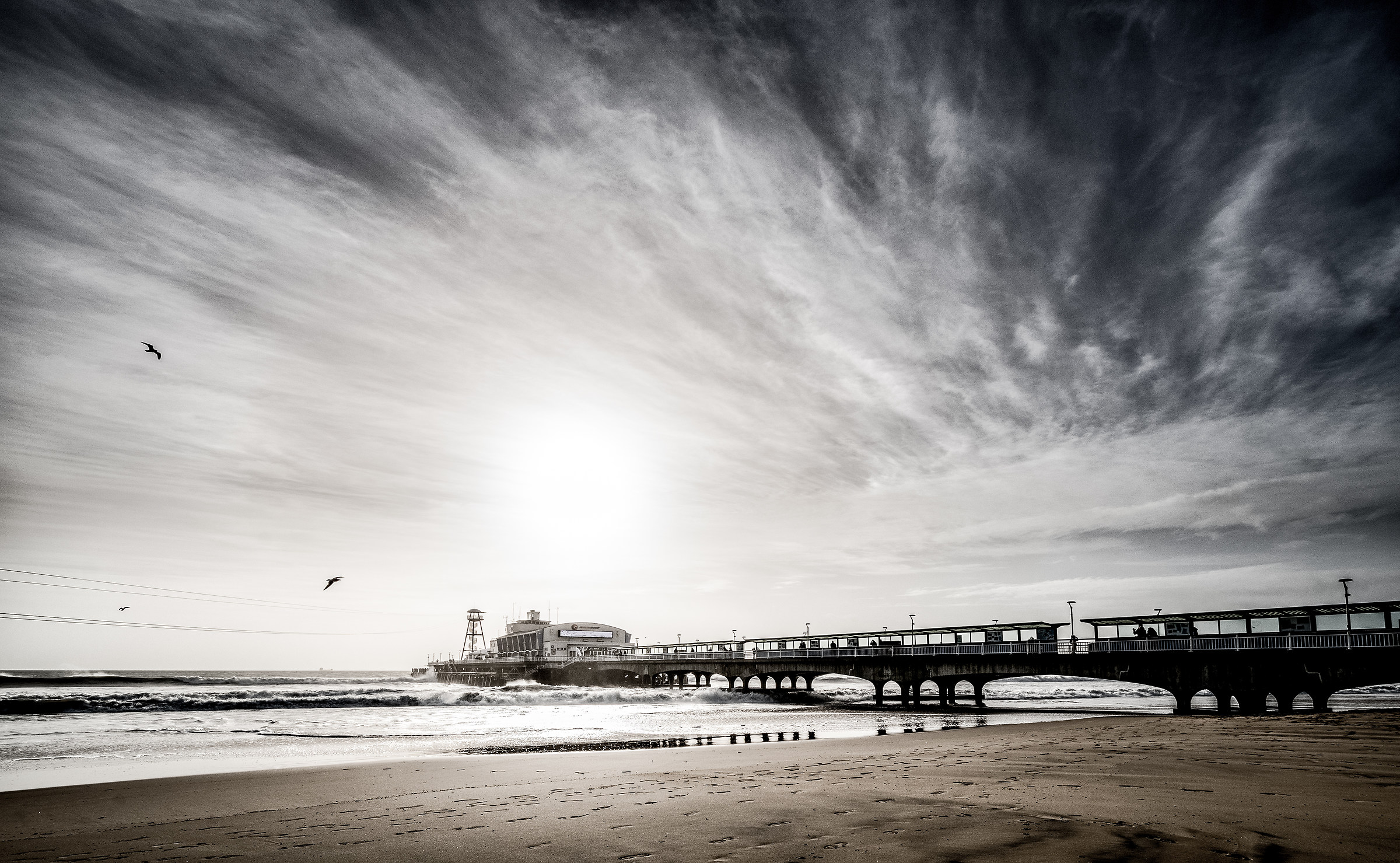 Selvaggio e ventoso!