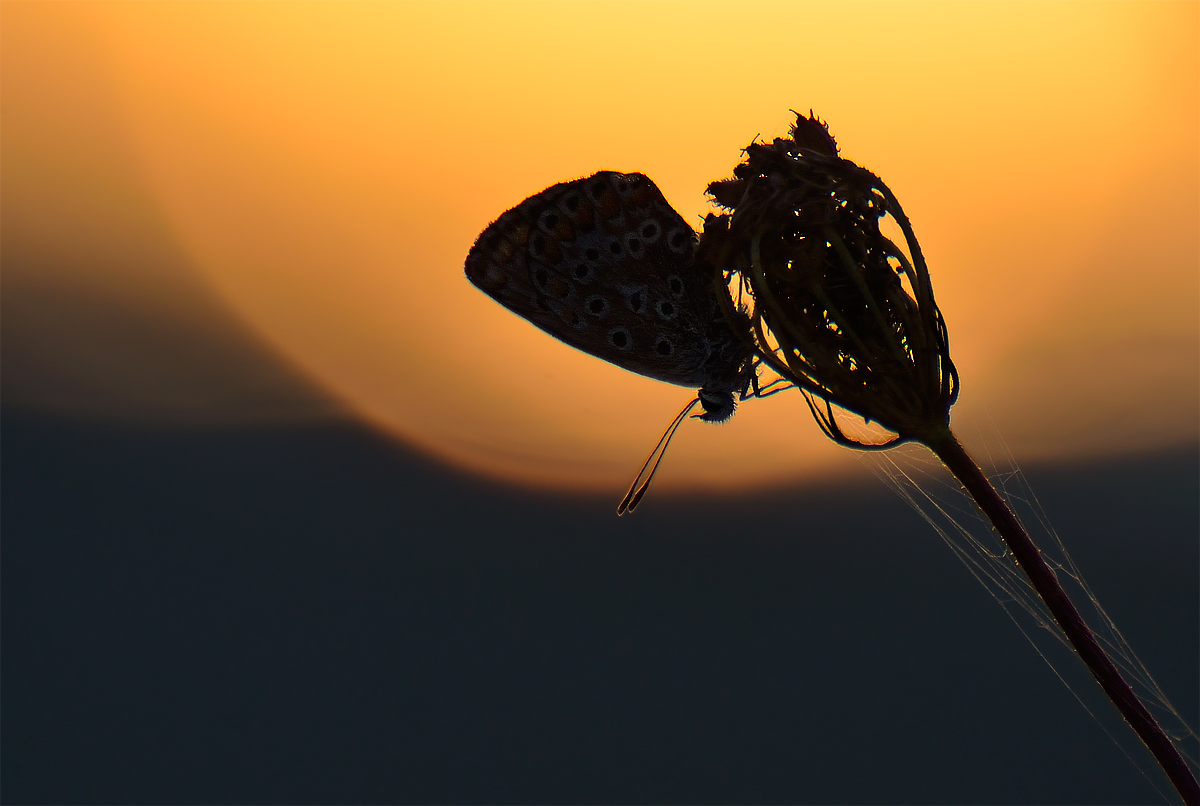 L'ultimo raggio di sole