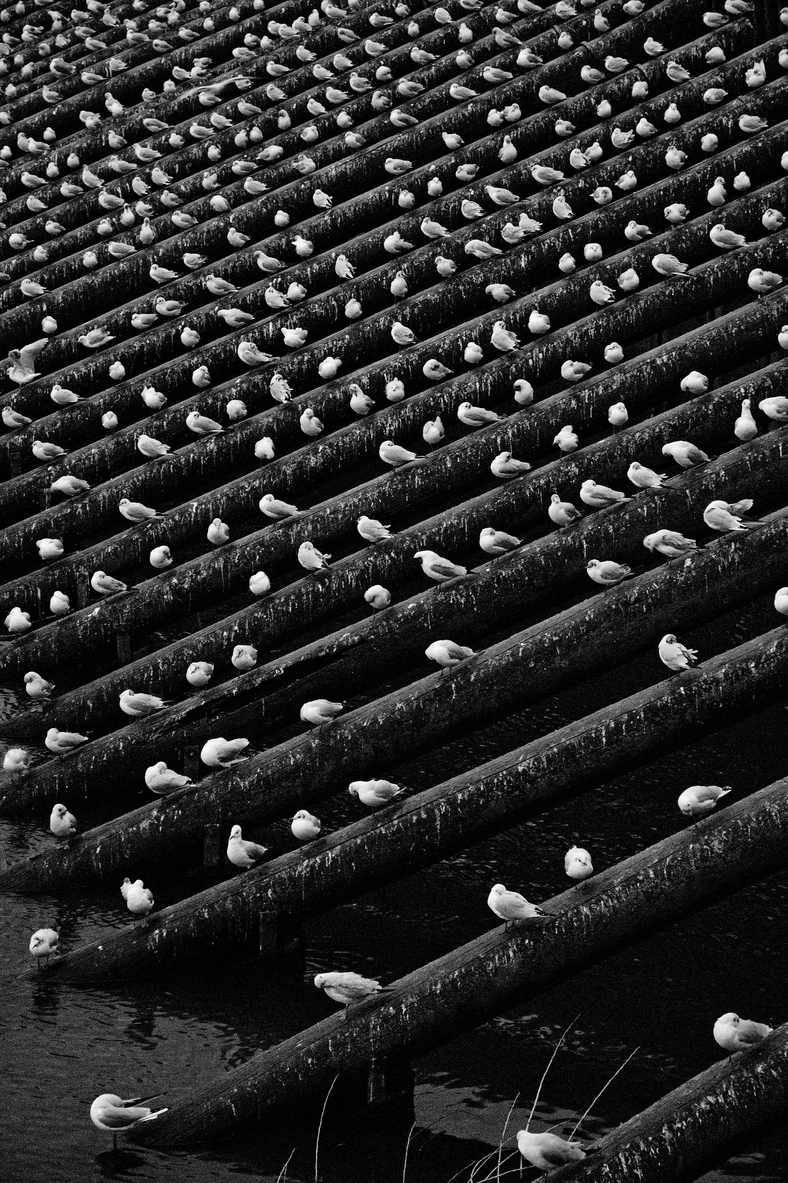 Almost dinner time ...