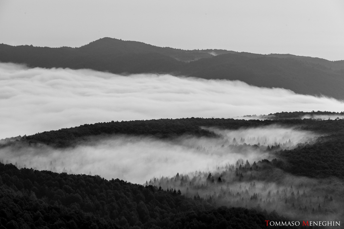 Piana del Cansiglio dal Monte Pizzoc