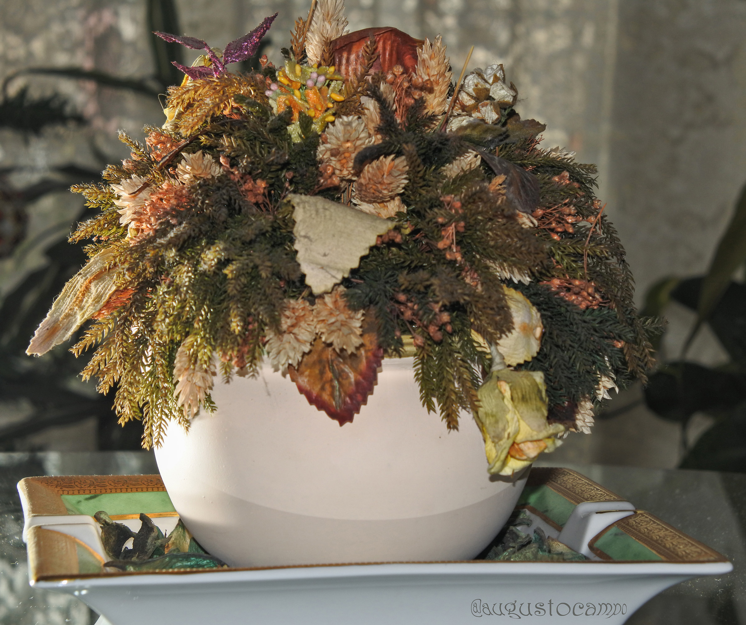Still life-dried flowers