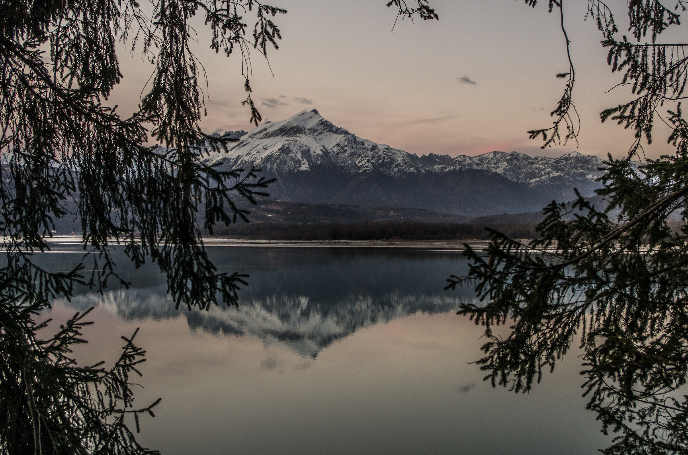 Serve among the fronds