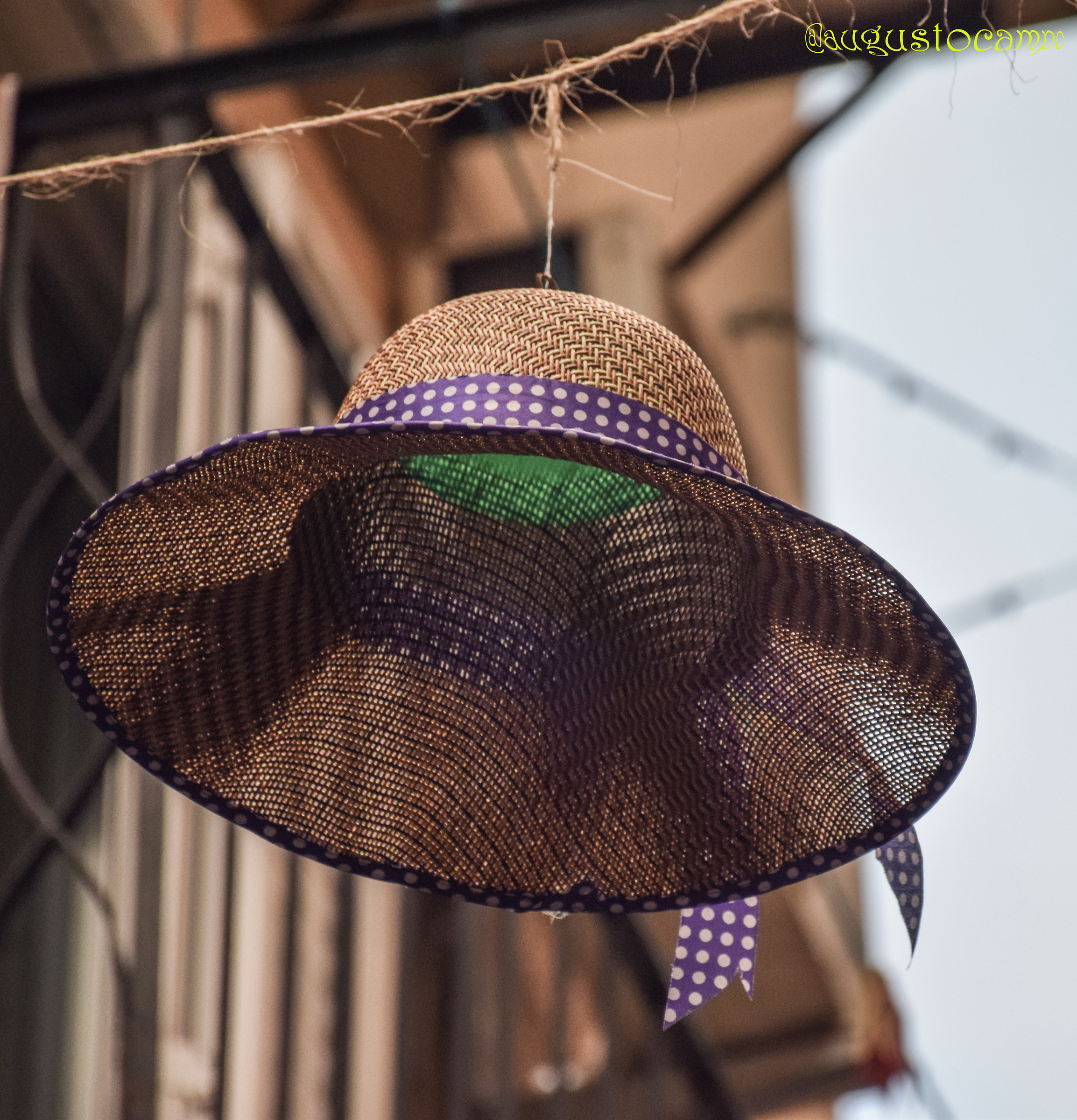 the hat suspended in the air