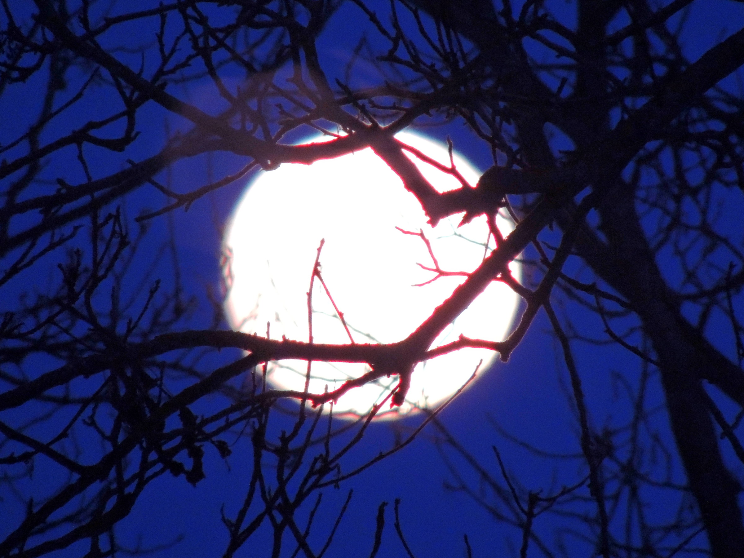 full moon in January