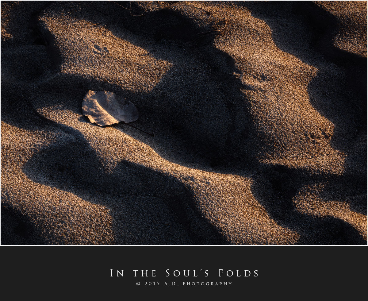 In the Soul's Folds