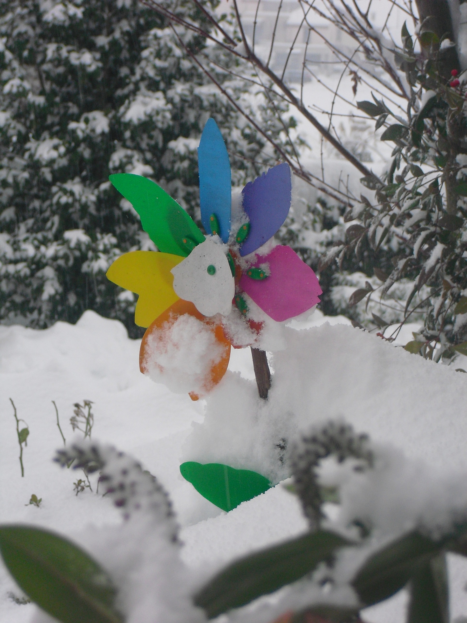 Strano fiore invernale