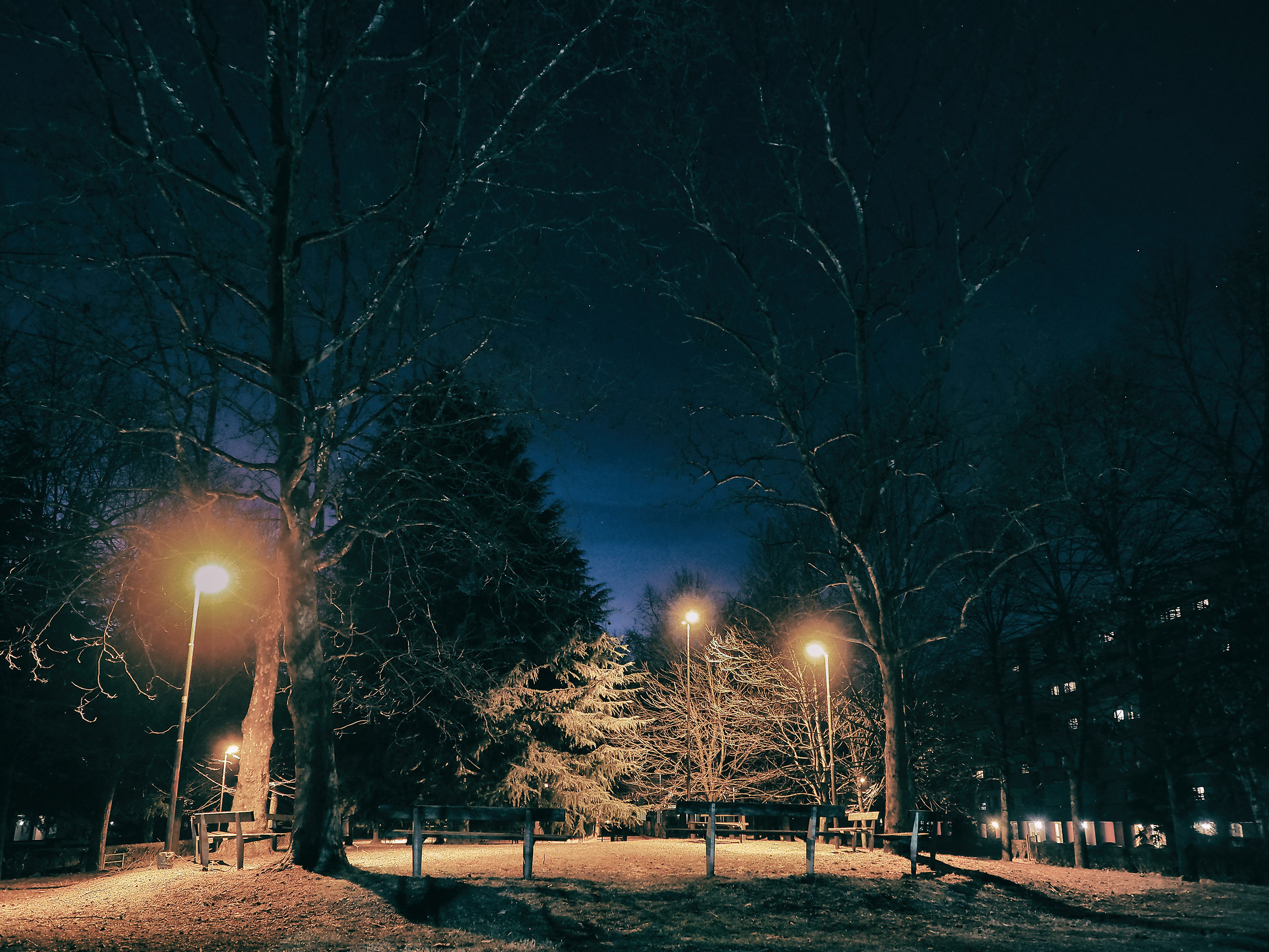 The park in the evening