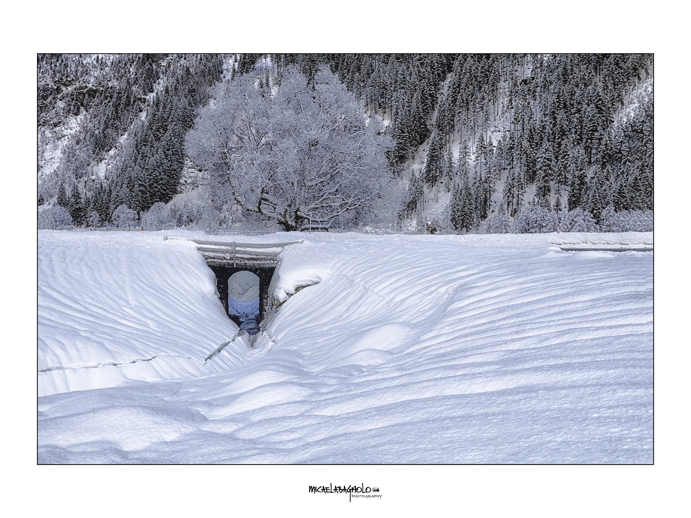 il fiume sotto la neve