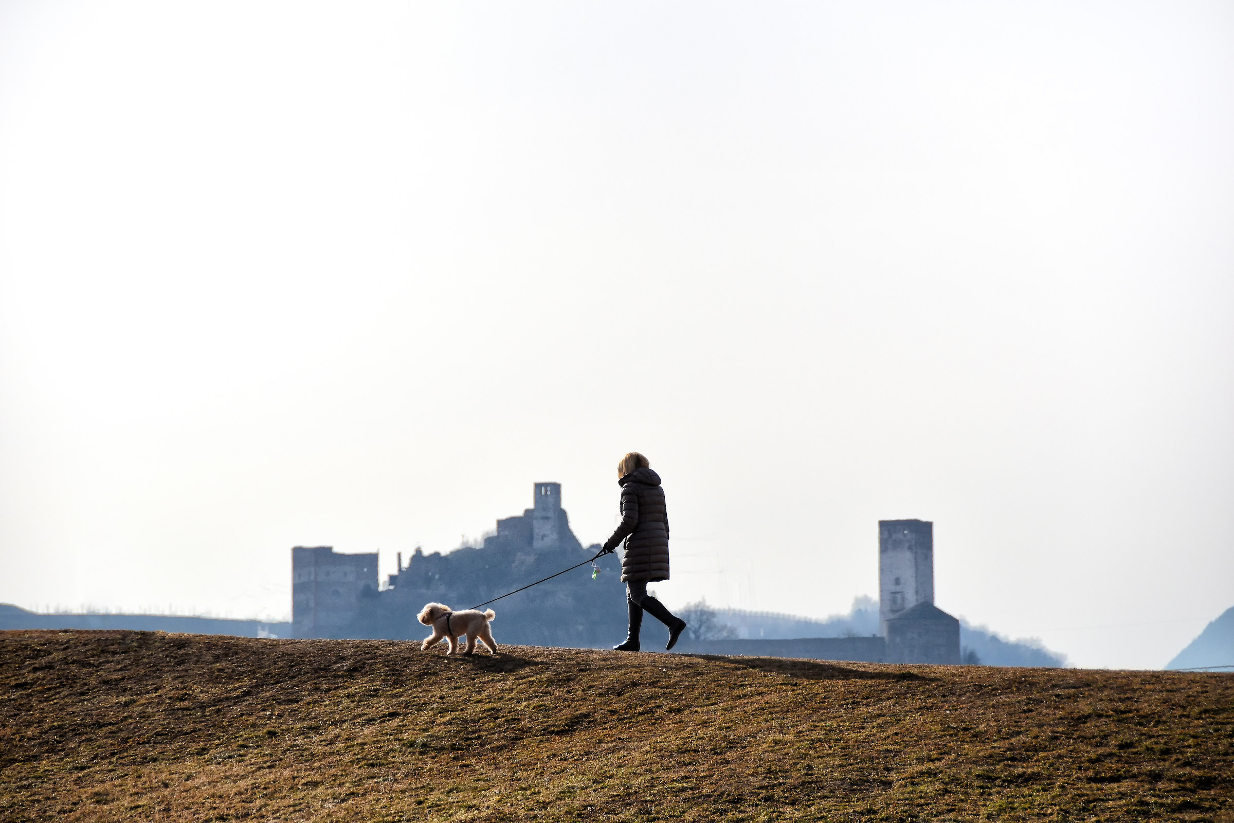 Castel Firmiano in the background